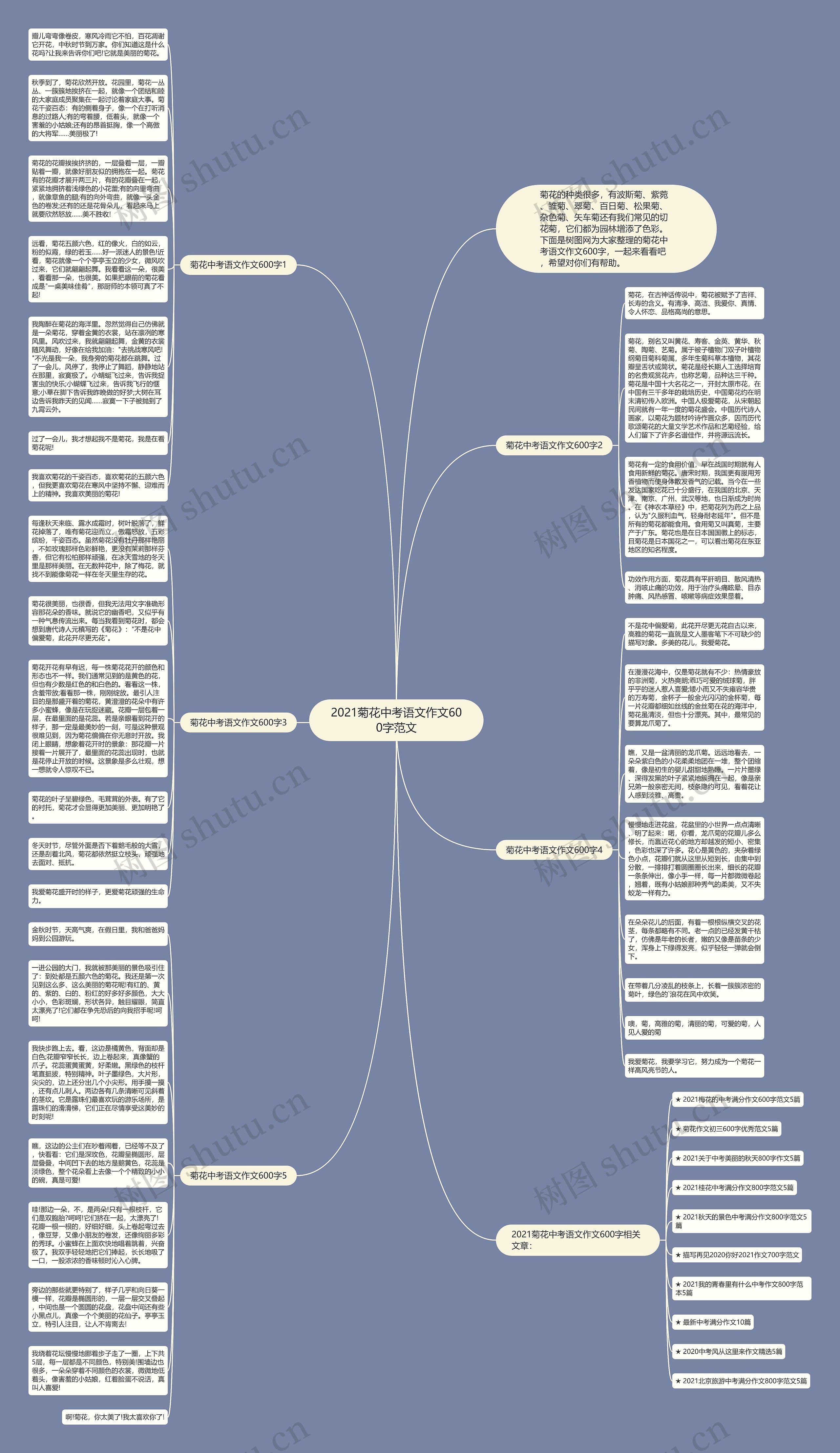 2021菊花中考语文作文600字范文思维导图