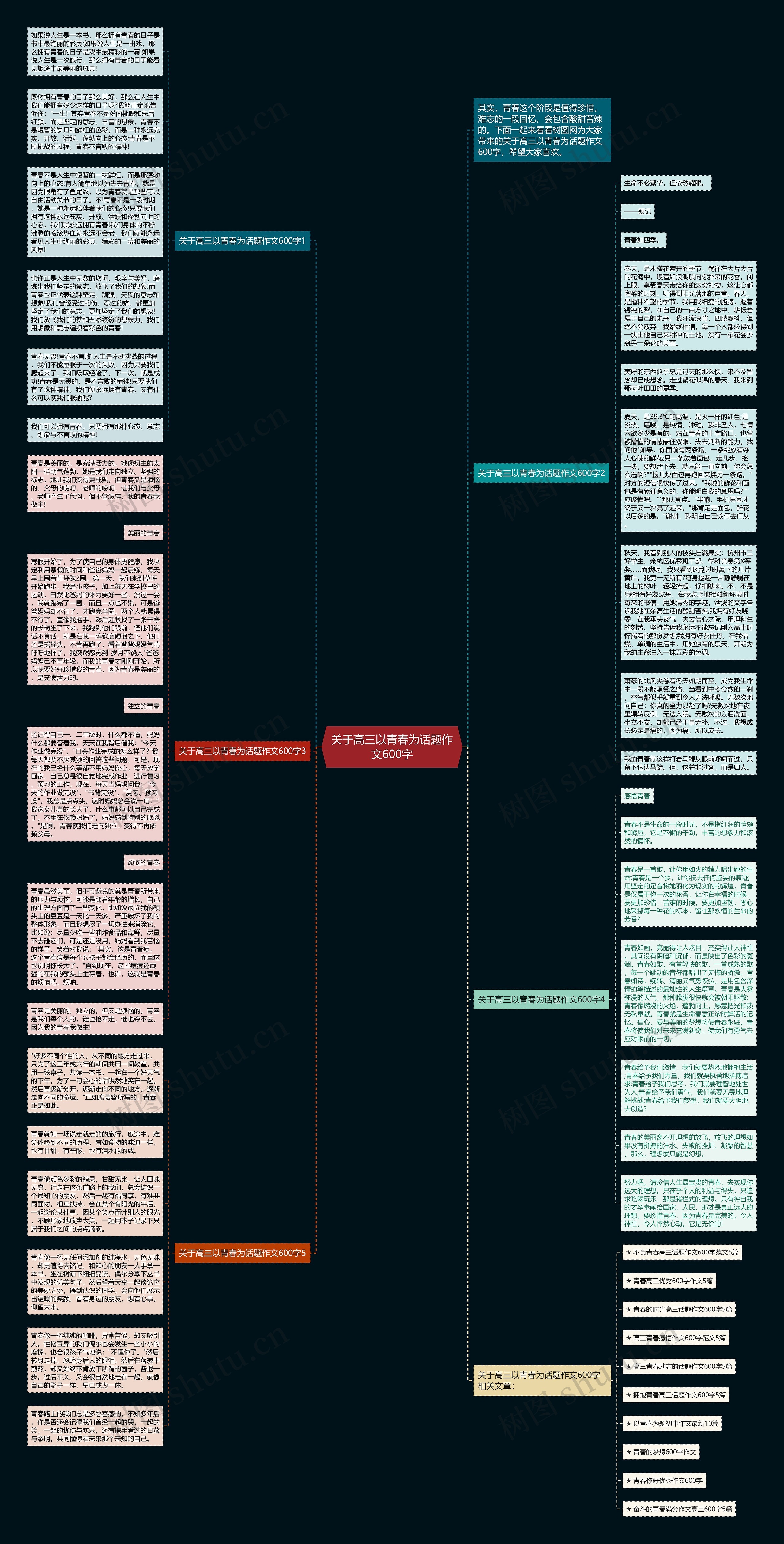 关于高三以青春为话题作文600字思维导图