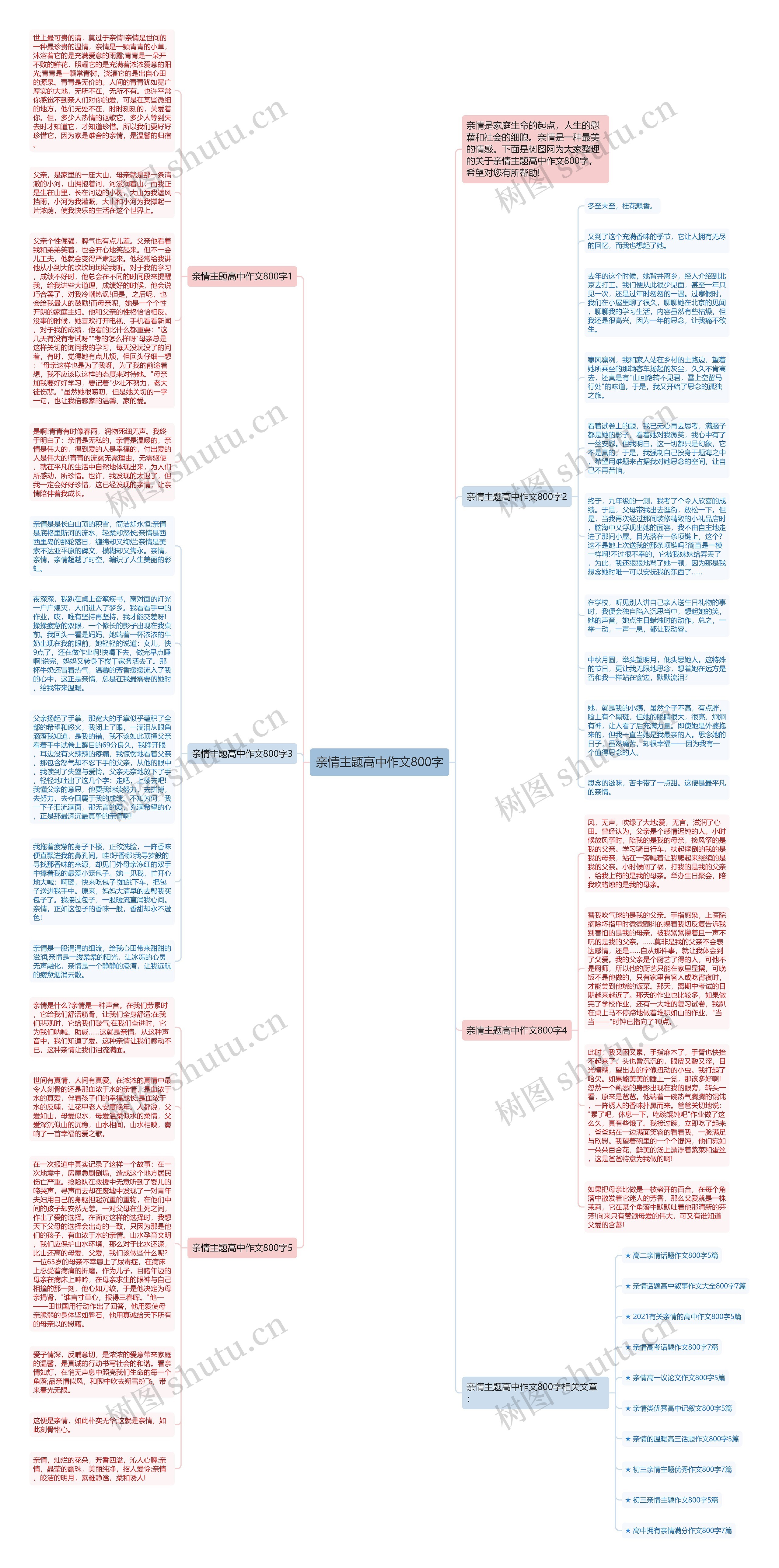 亲情主题高中作文800字思维导图