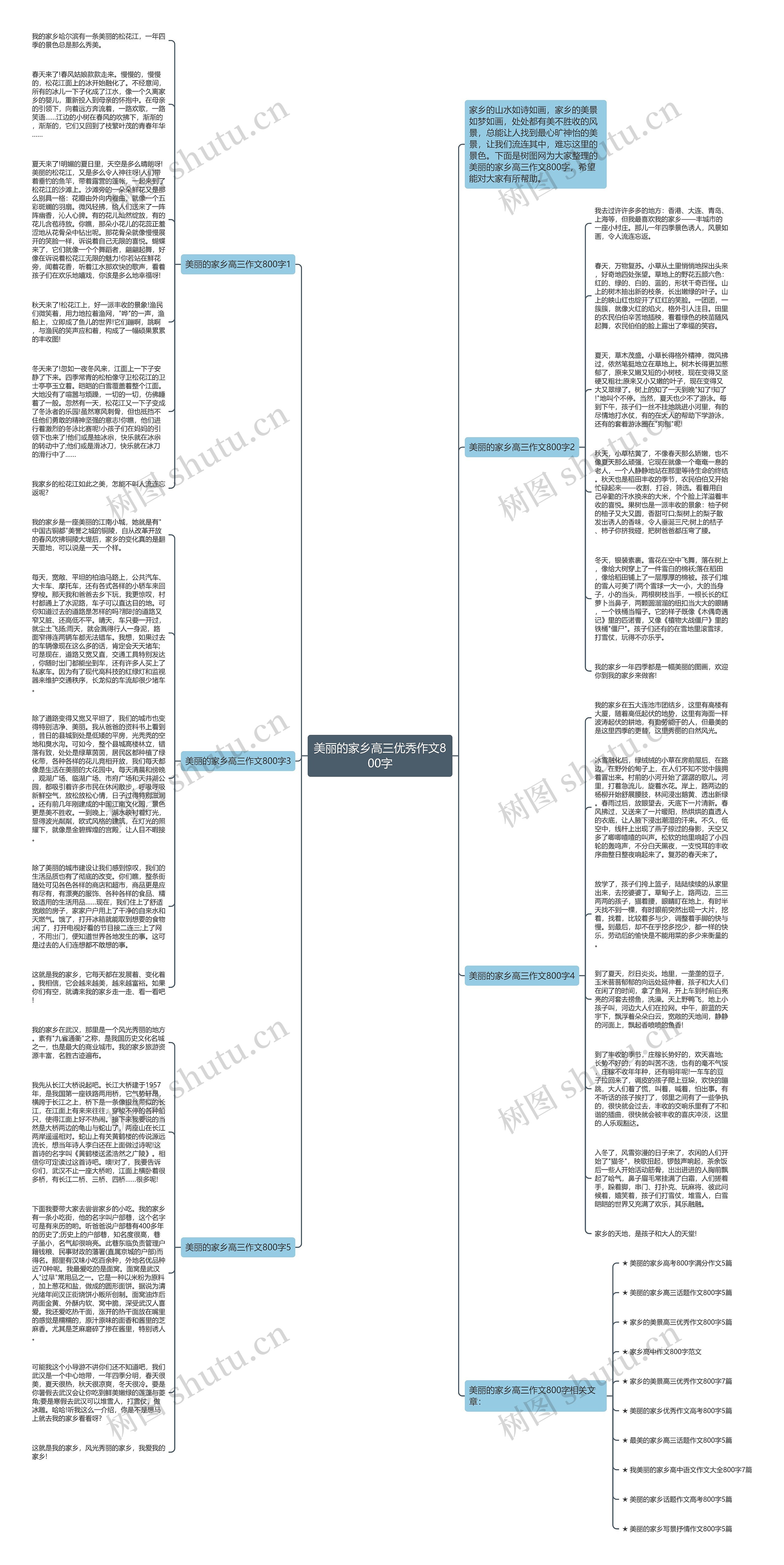 美丽的家乡高三优秀作文800字思维导图