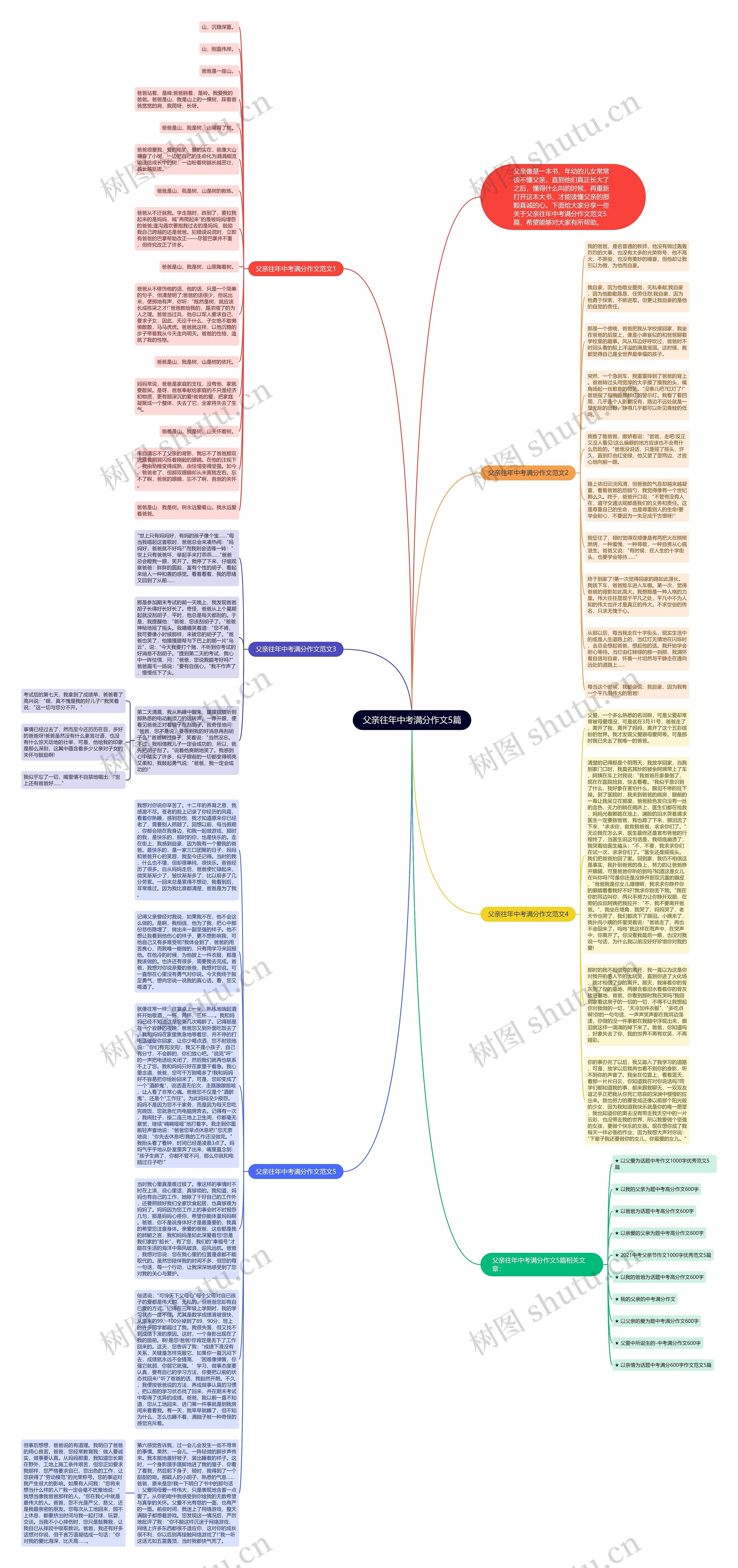 父亲往年中考满分作文5篇思维导图