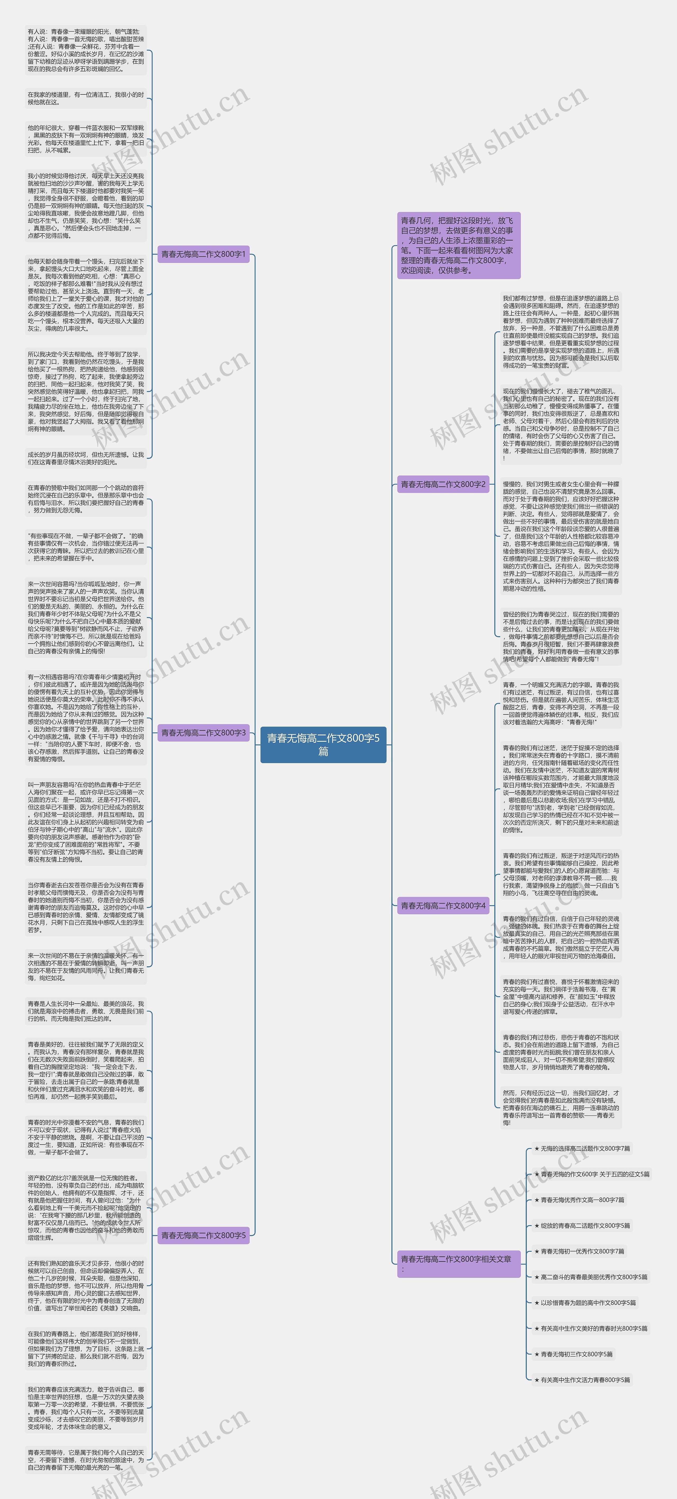 青春无悔高二作文800字5篇思维导图