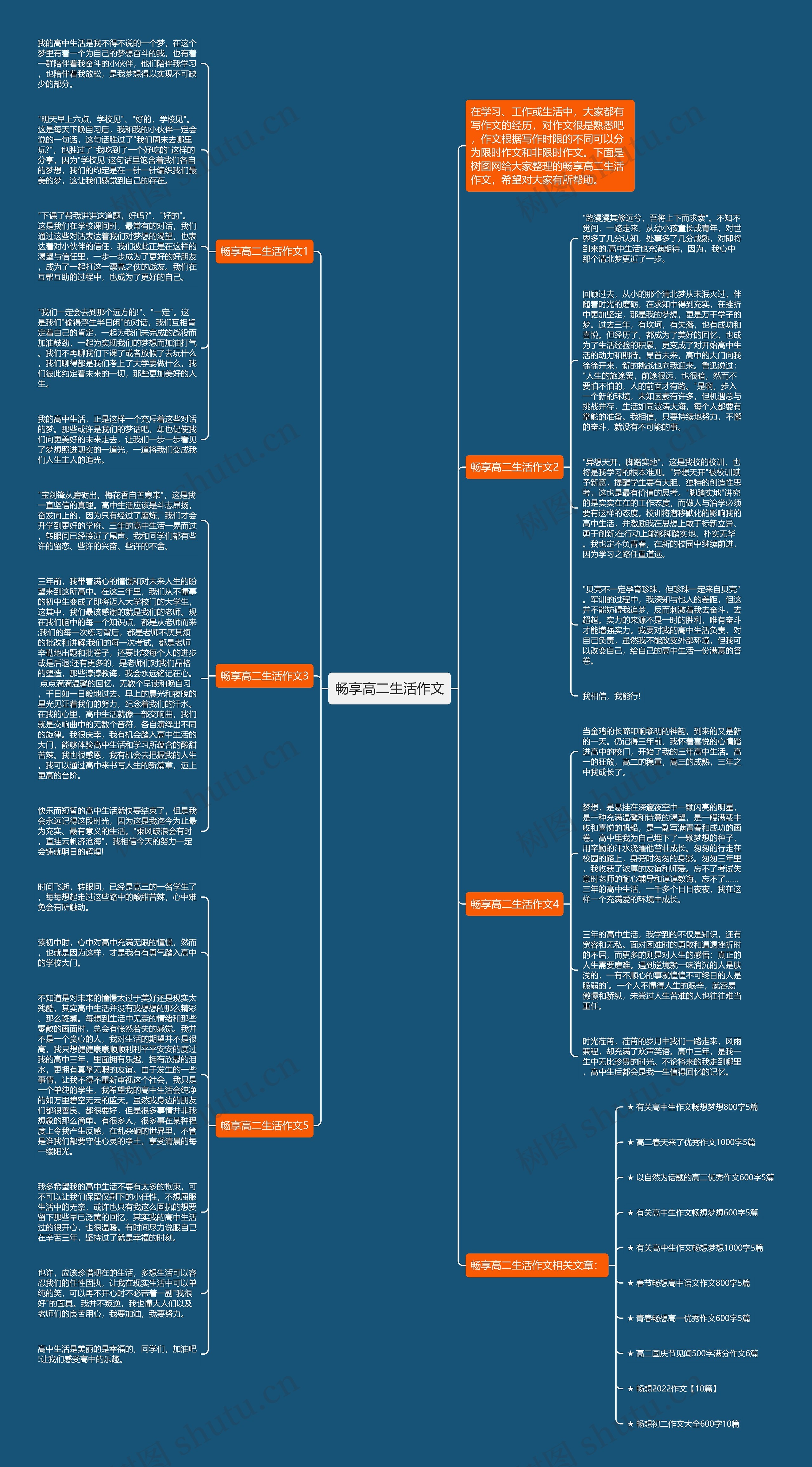 畅享高二生活作文思维导图