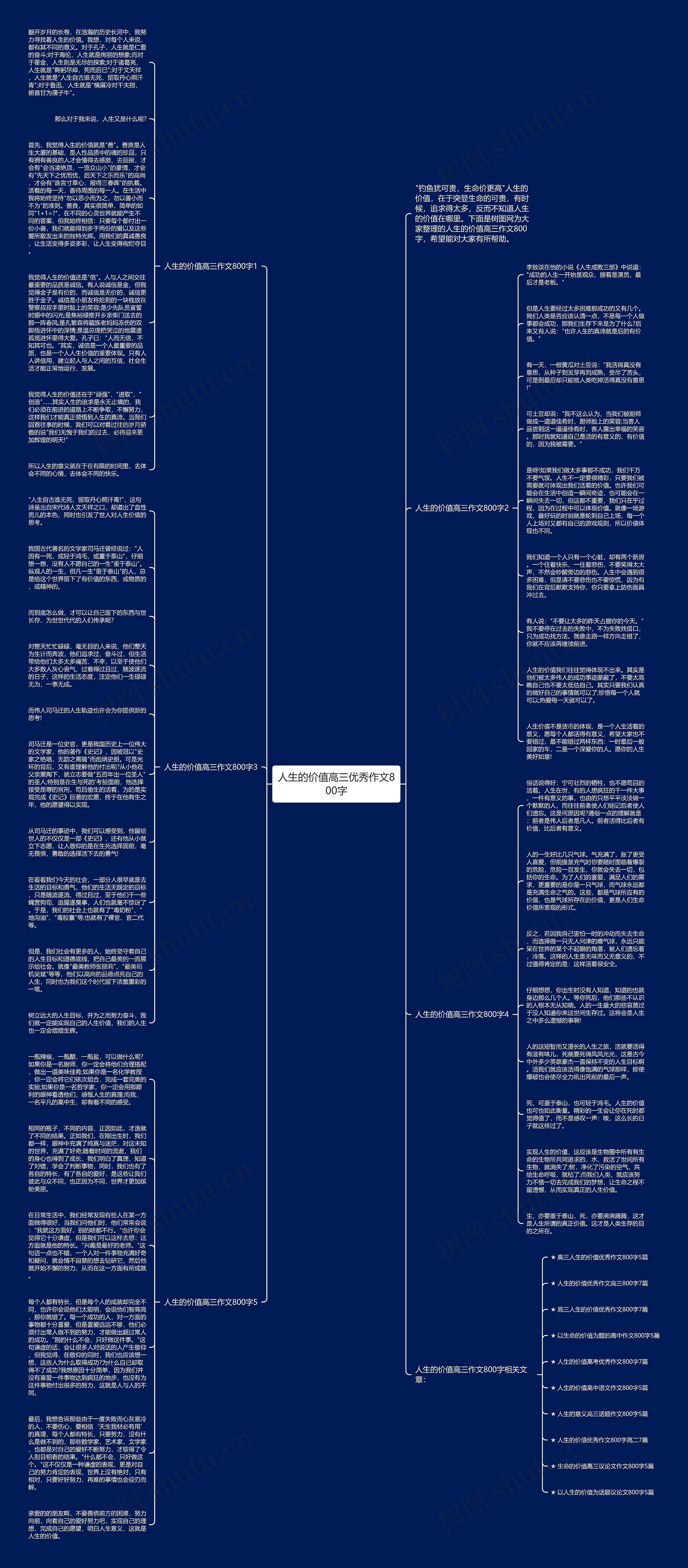 人生的价值高三优秀作文800字思维导图