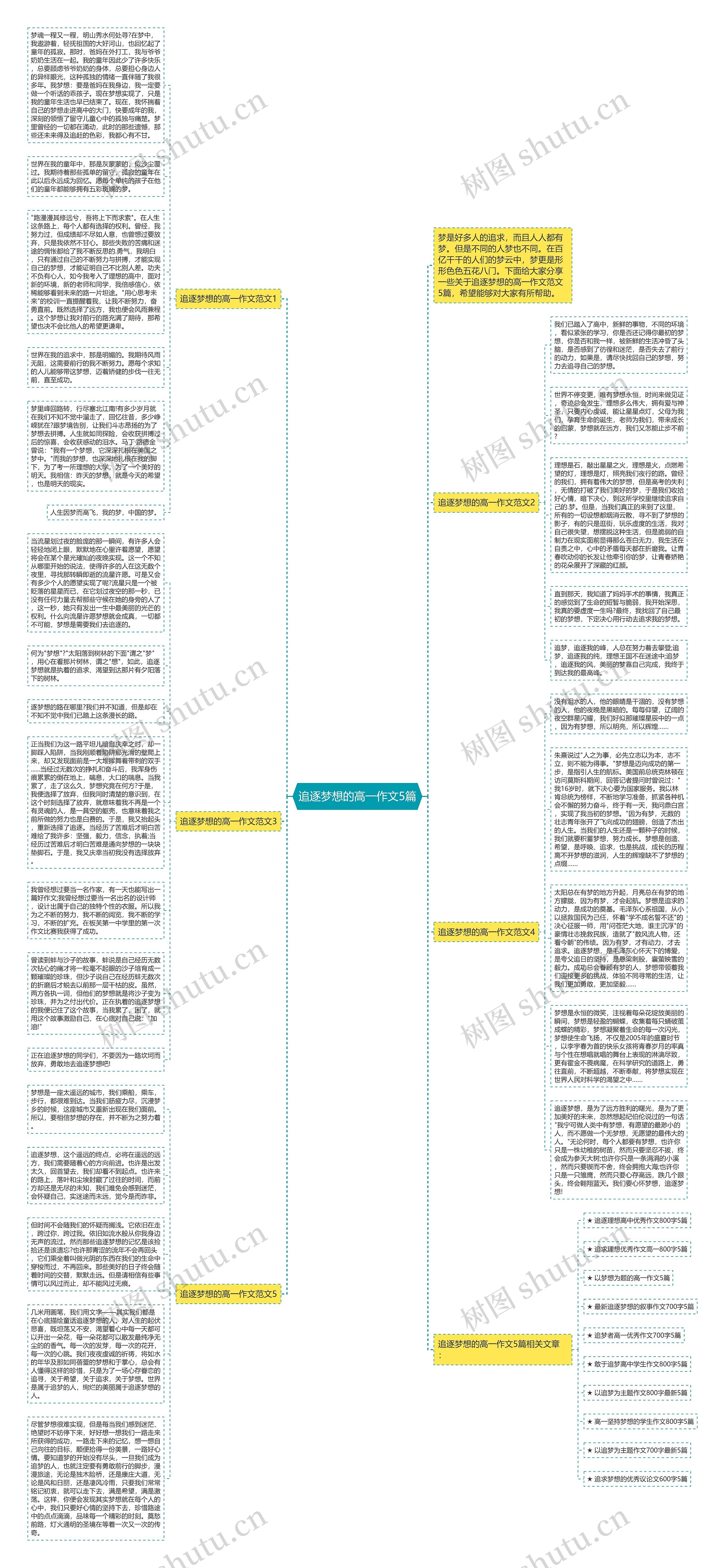 追逐梦想的高一作文5篇思维导图