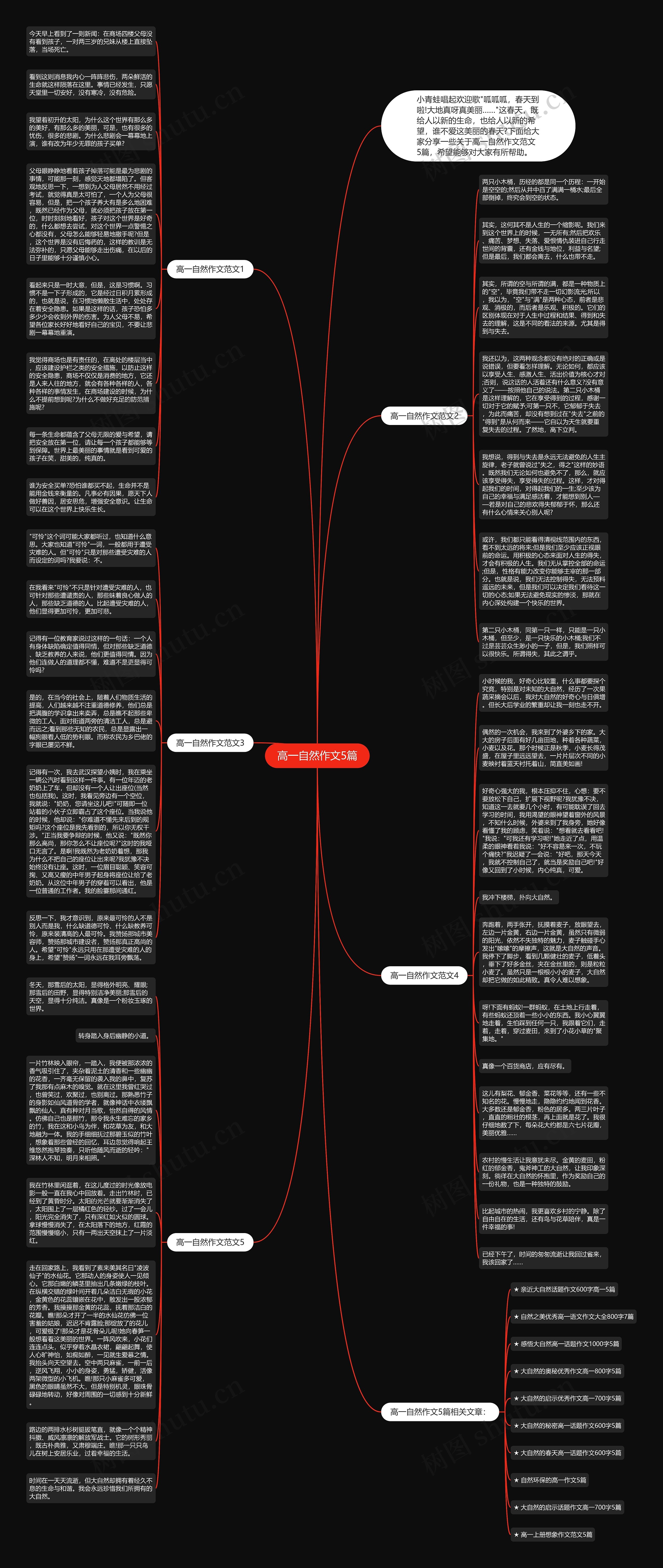 高一自然作文5篇思维导图