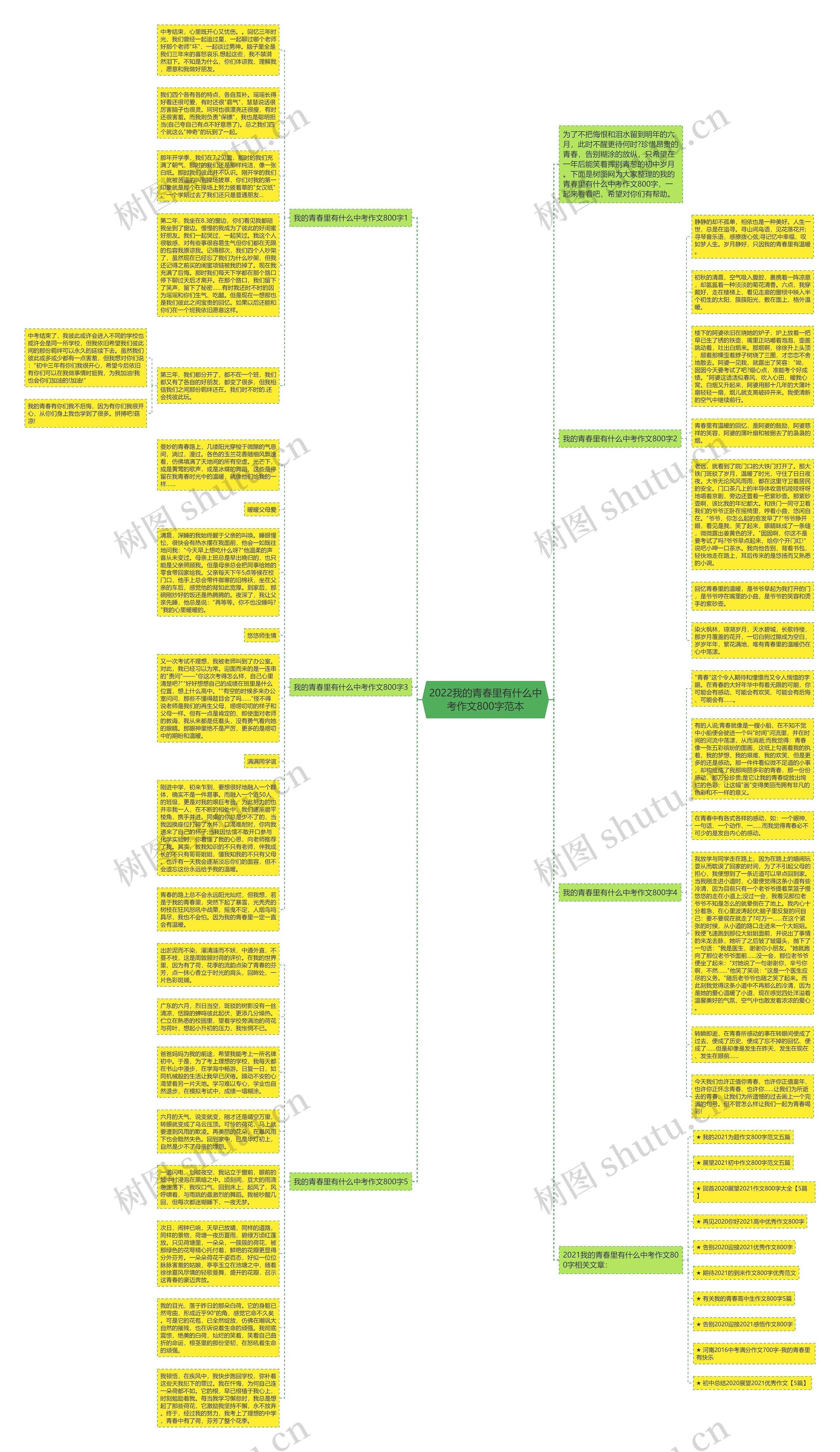 2022我的青春里有什么中考作文800字范本思维导图