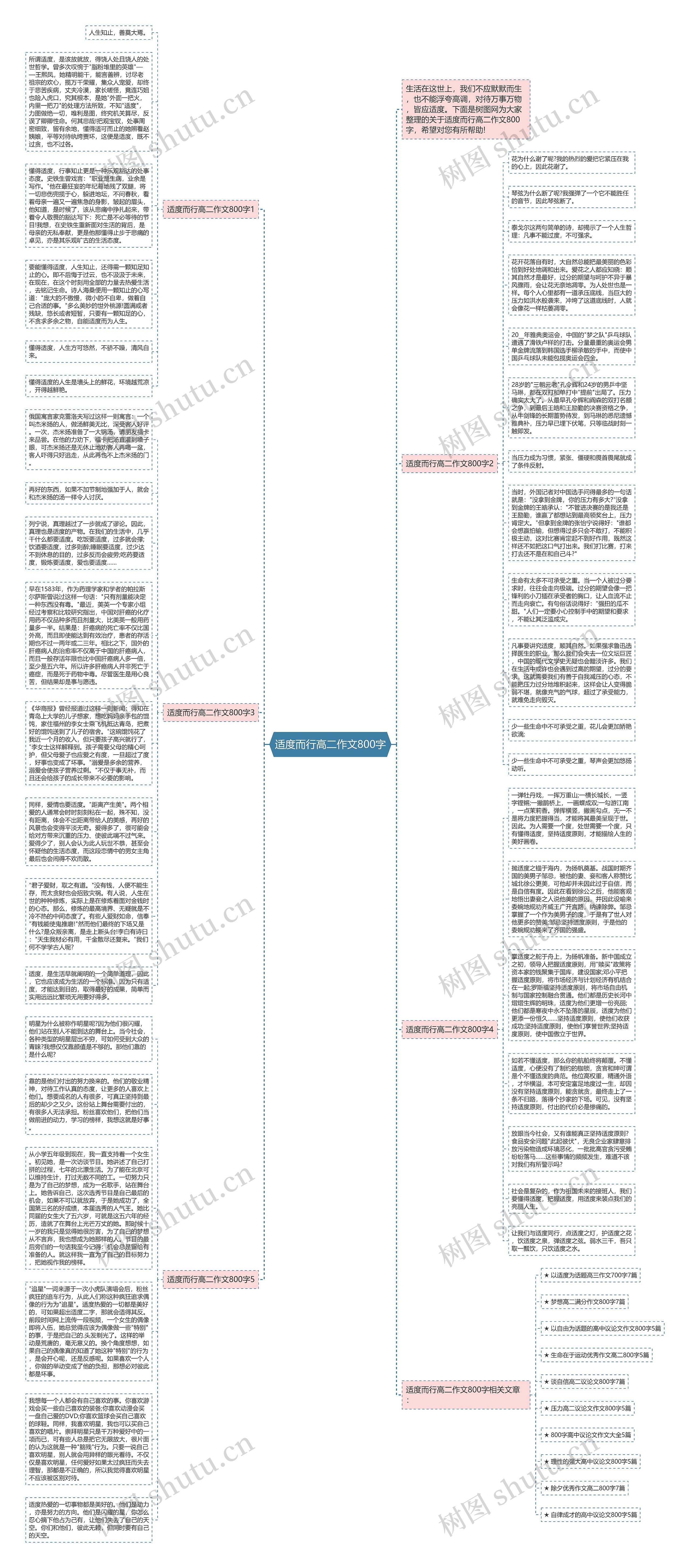 适度而行高二作文800字思维导图