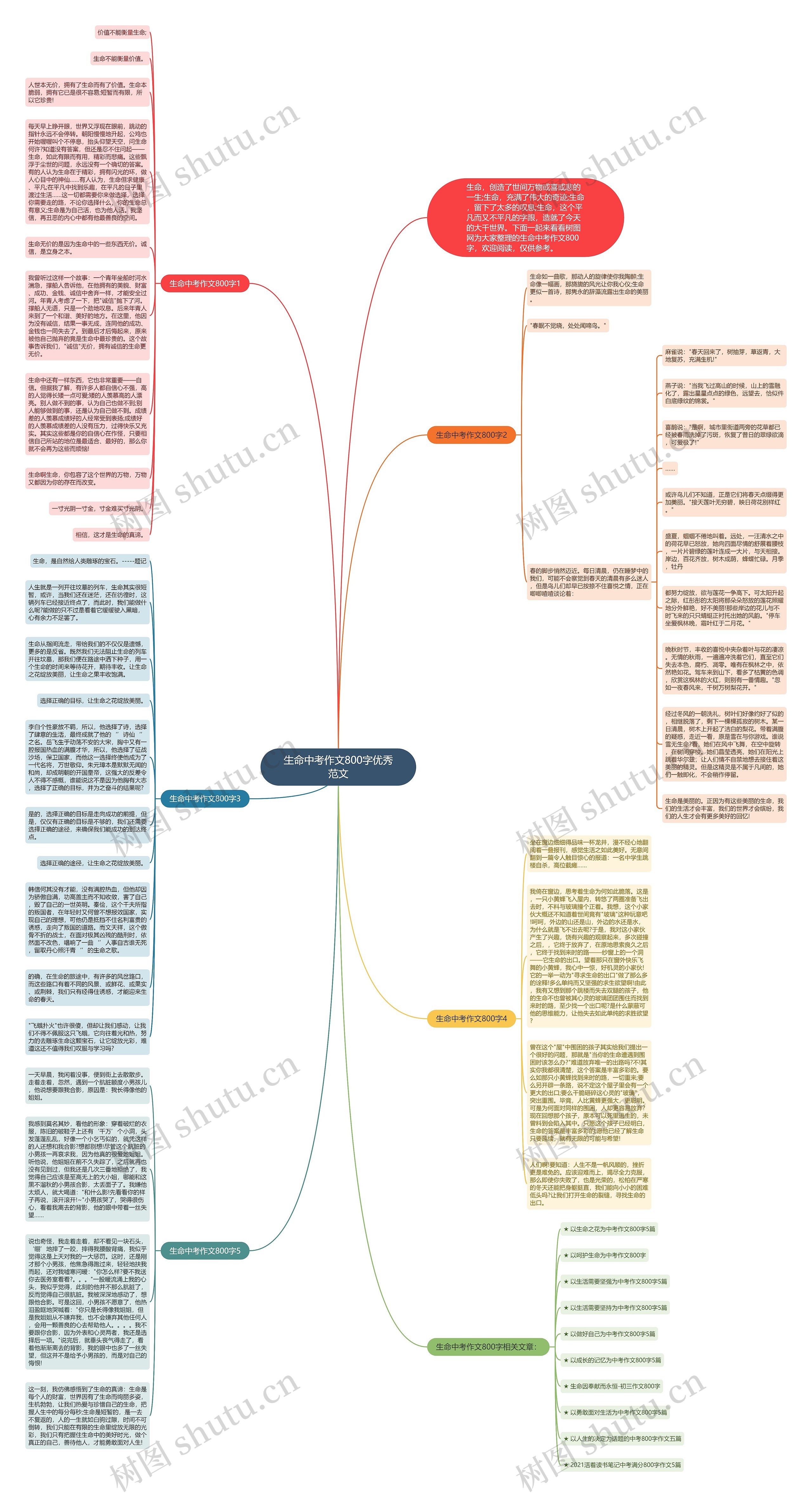 生命中考作文800字优秀范文思维导图
