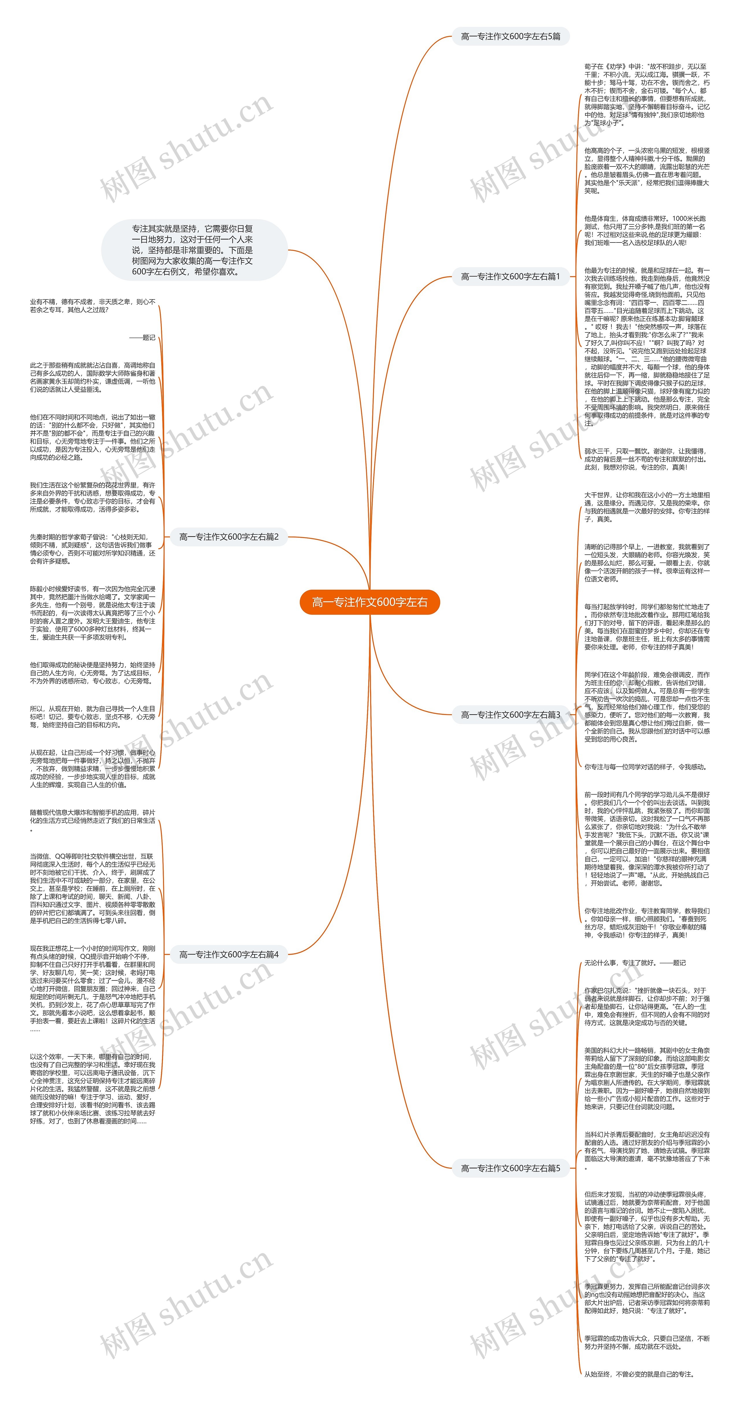 高一专注作文600字左右
