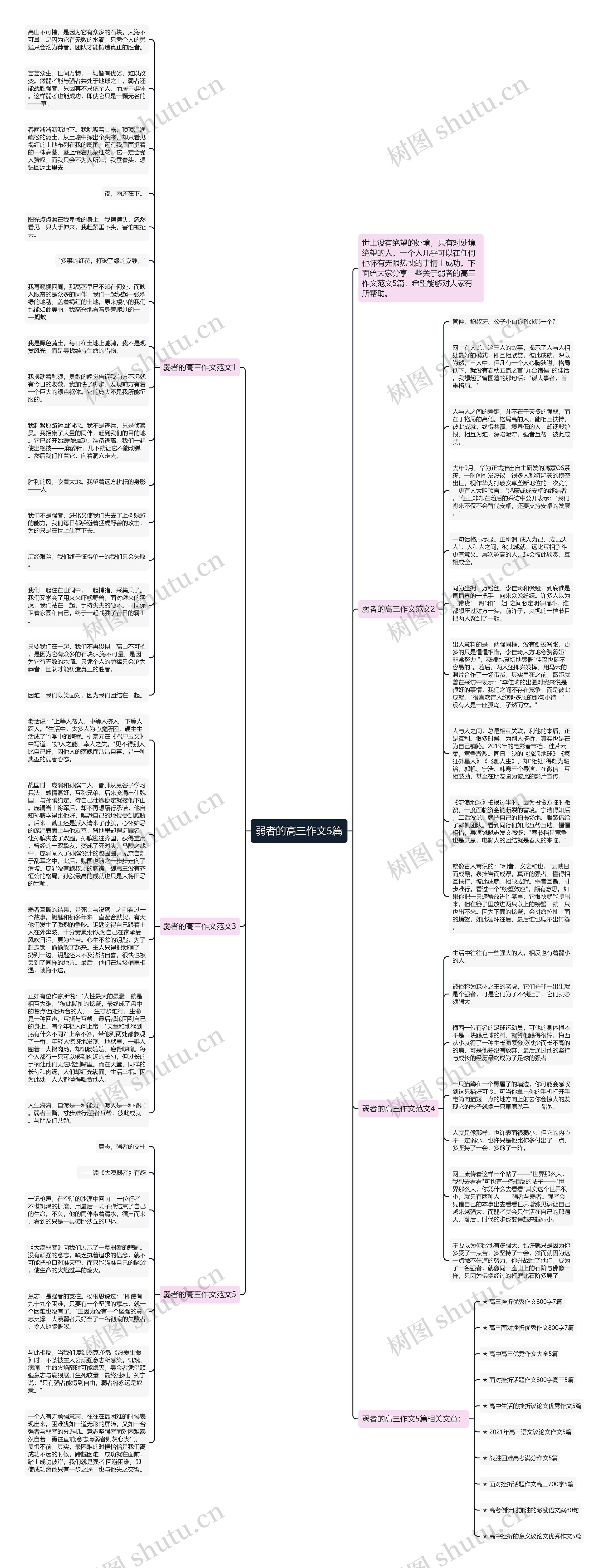 弱者的高三作文5篇思维导图