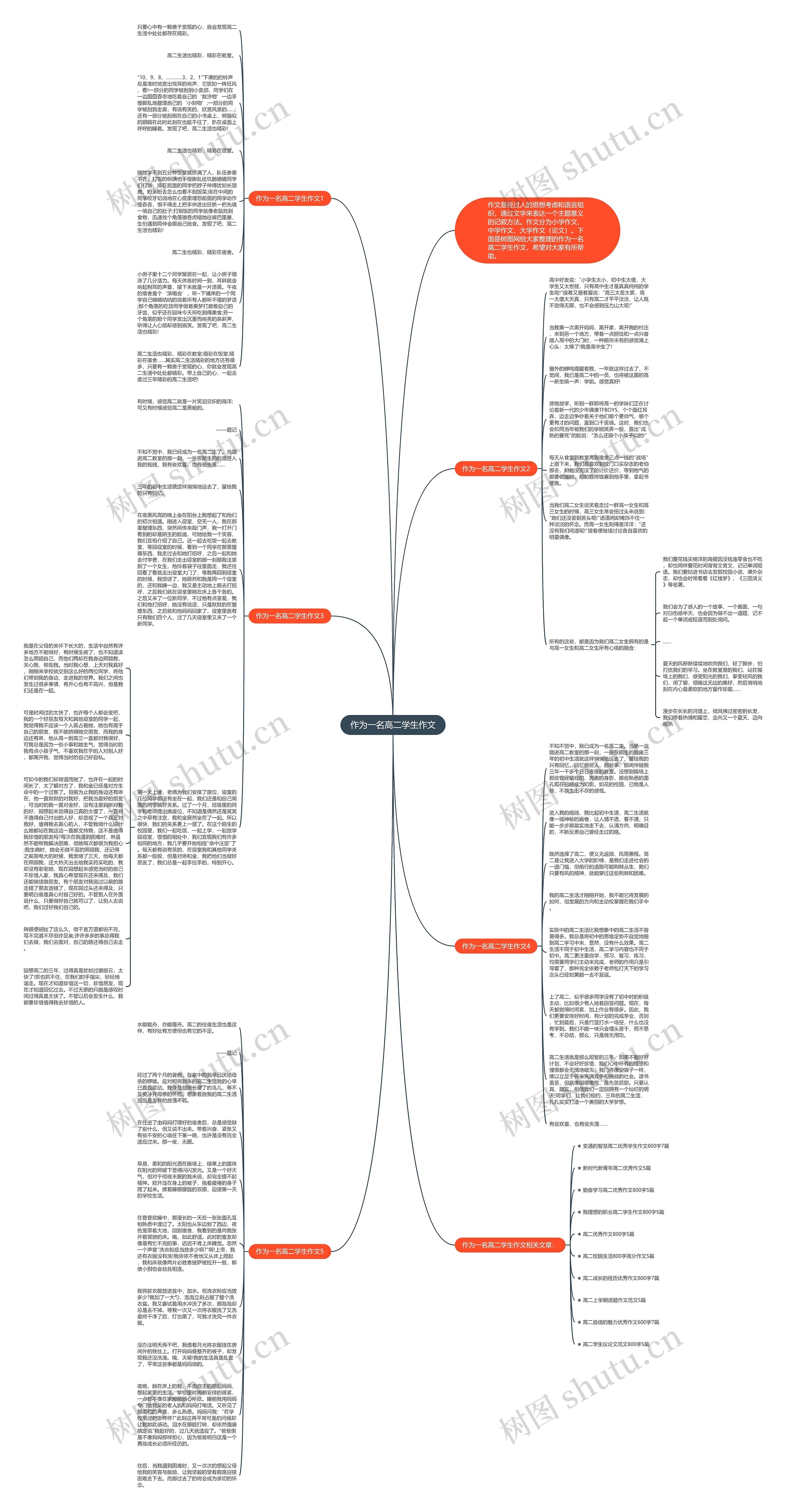 作为一名高二学生作文思维导图