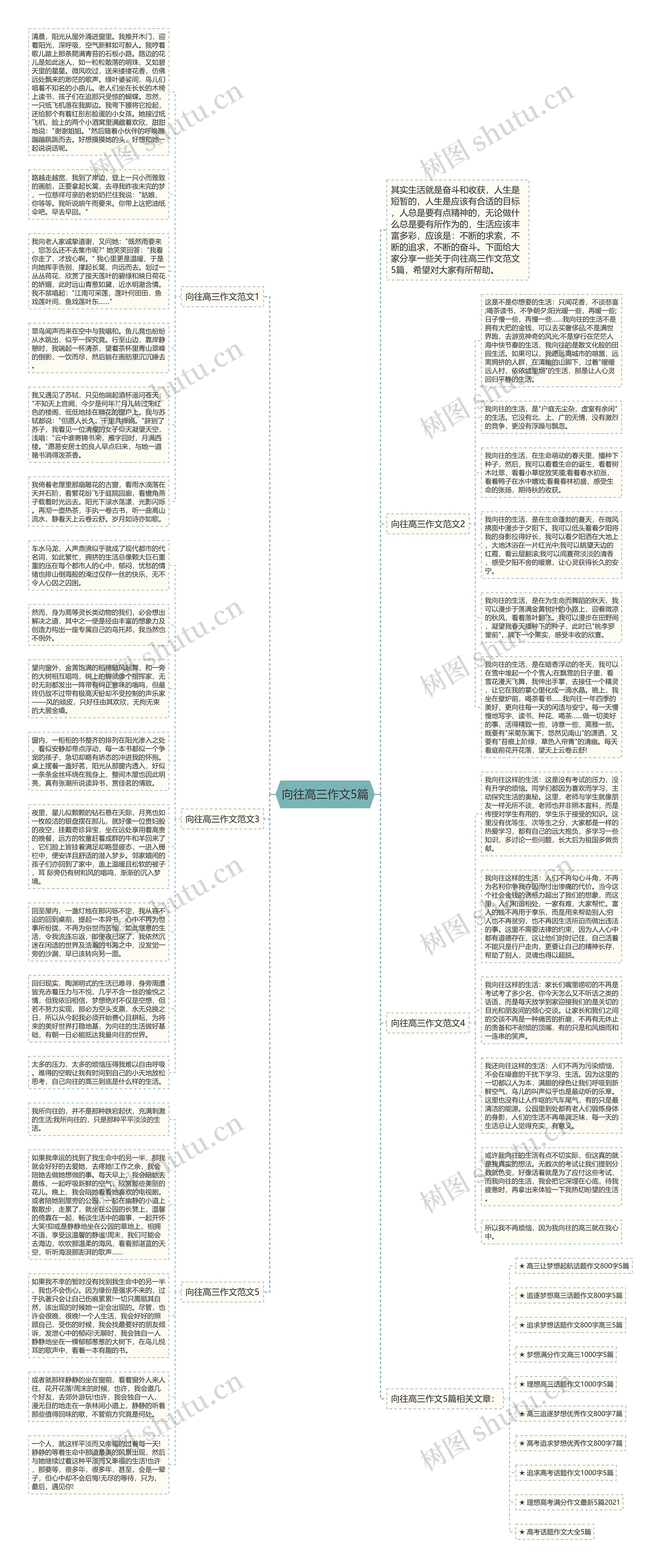 向往高三作文5篇思维导图