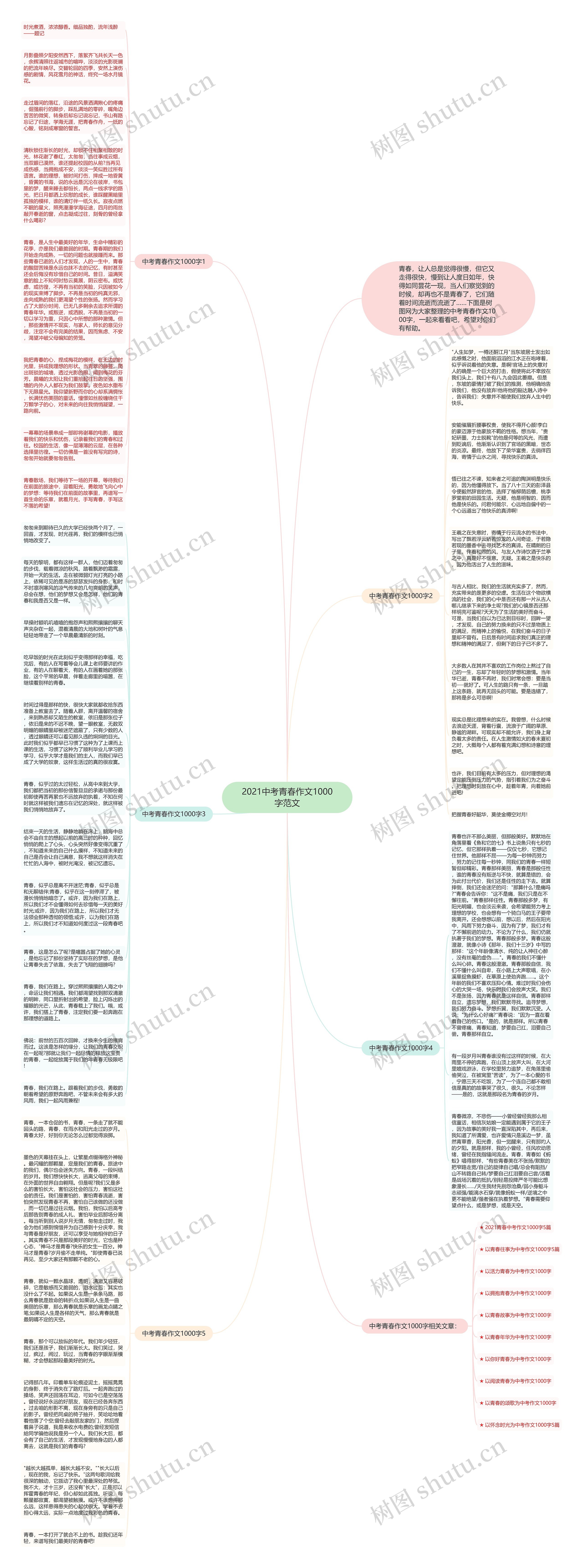 2021中考青春作文1000字范文思维导图