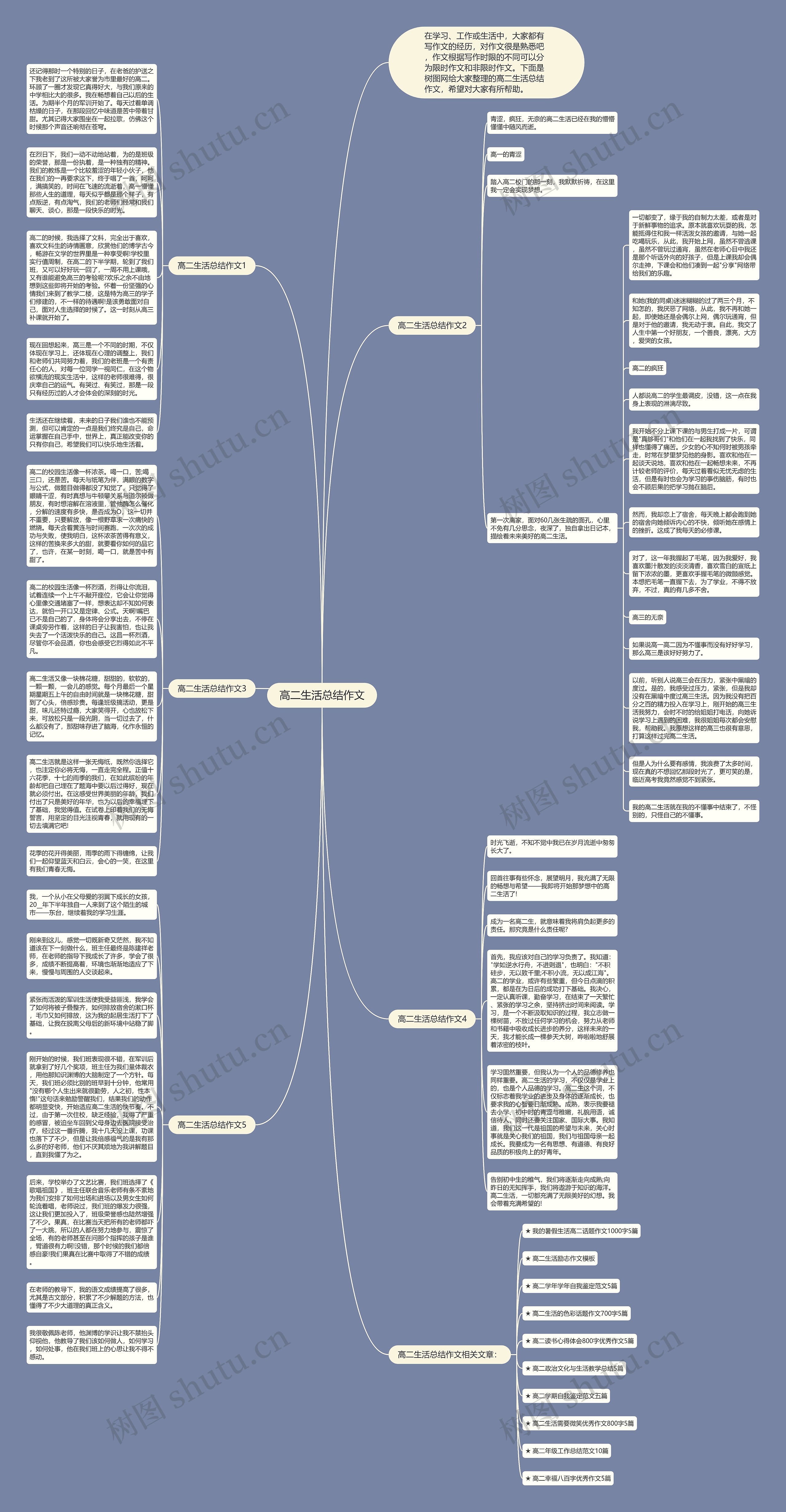 高二生活总结作文思维导图