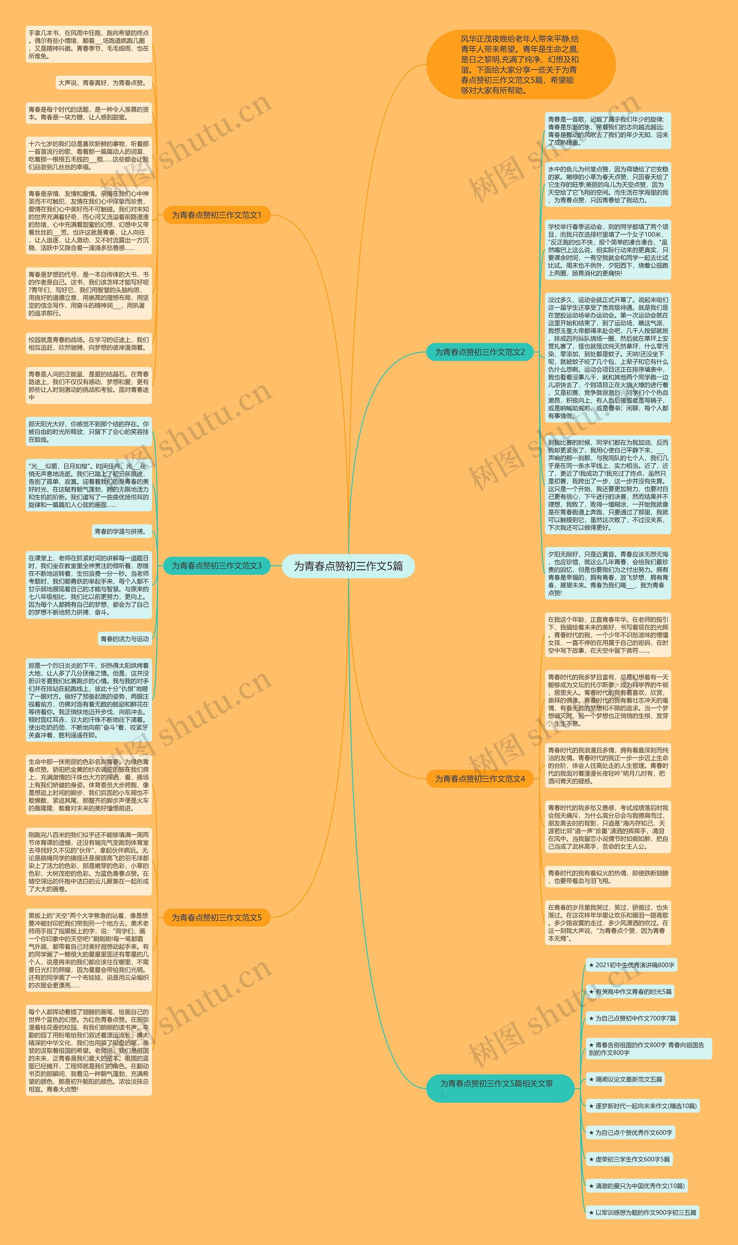 为青春点赞初三作文5篇思维导图