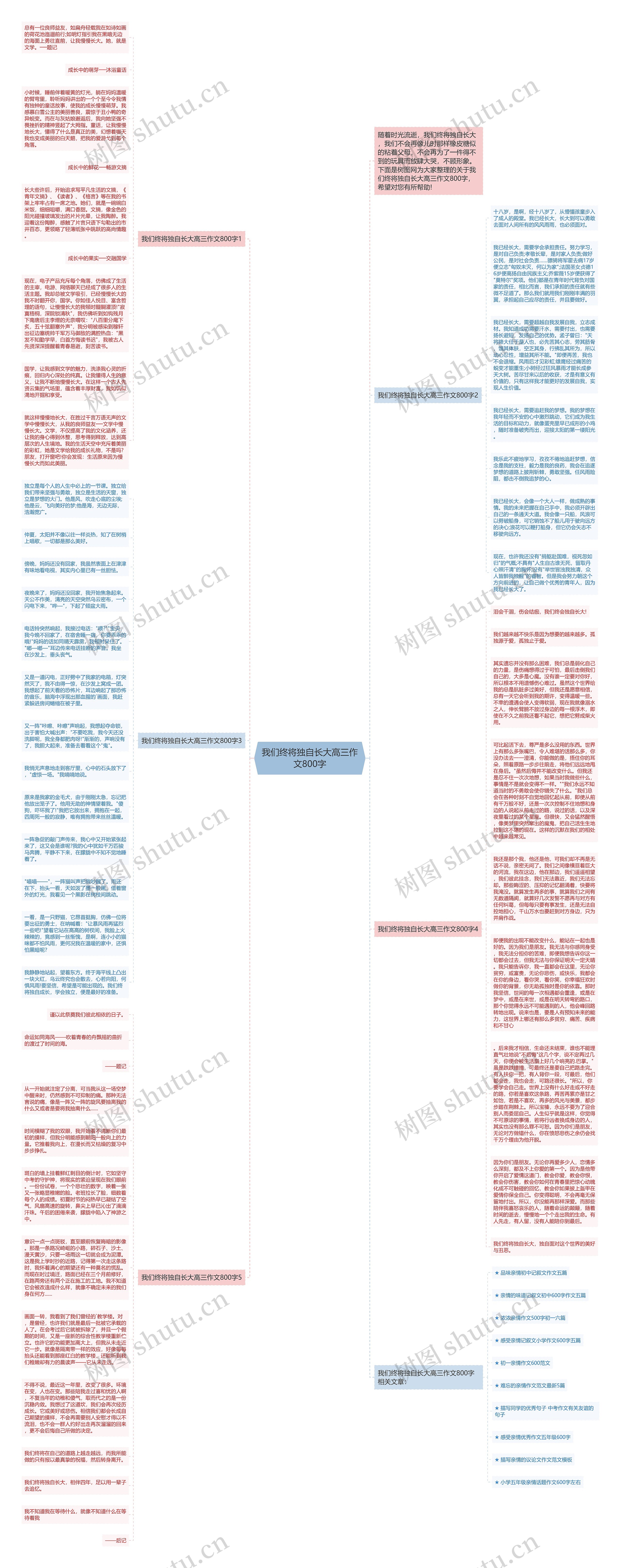 我们终将独自长大高三作文800字思维导图