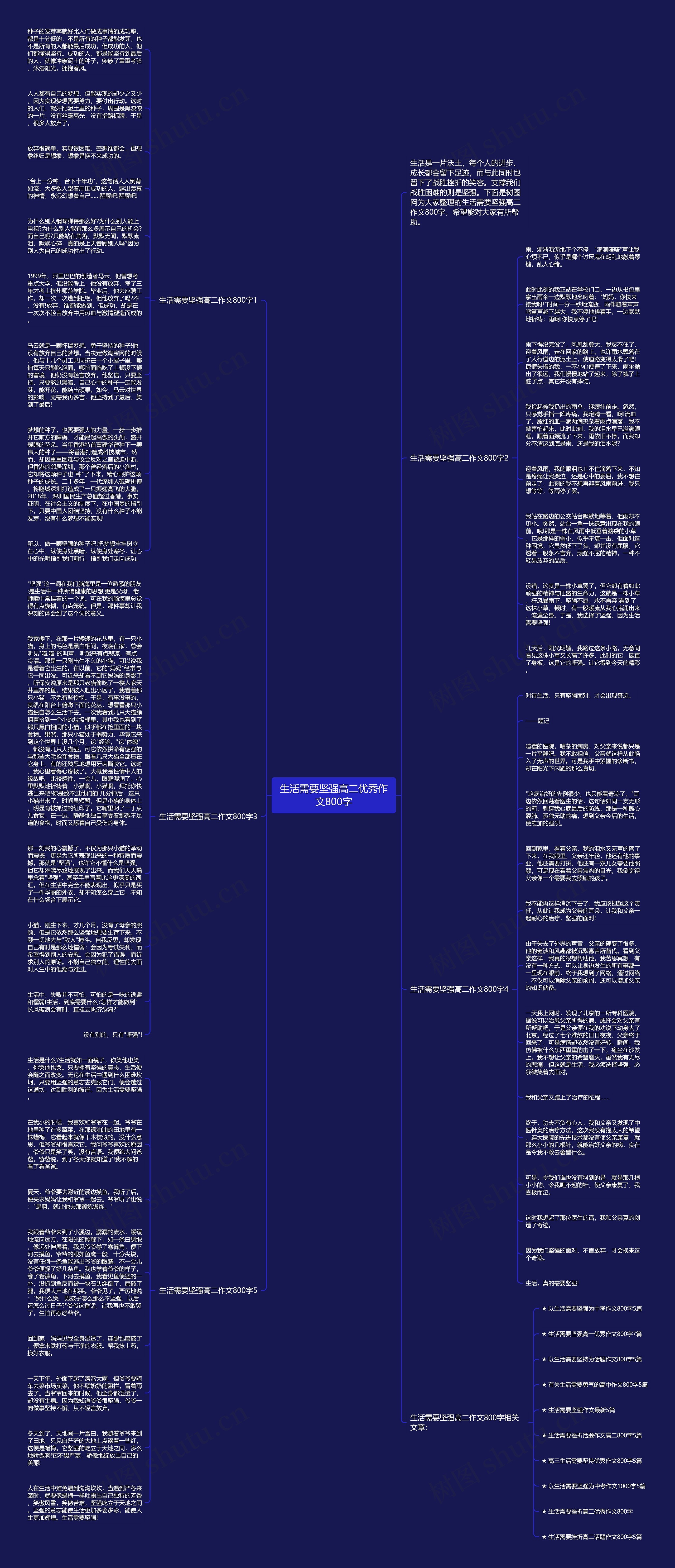 生活需要坚强高二优秀作文800字思维导图