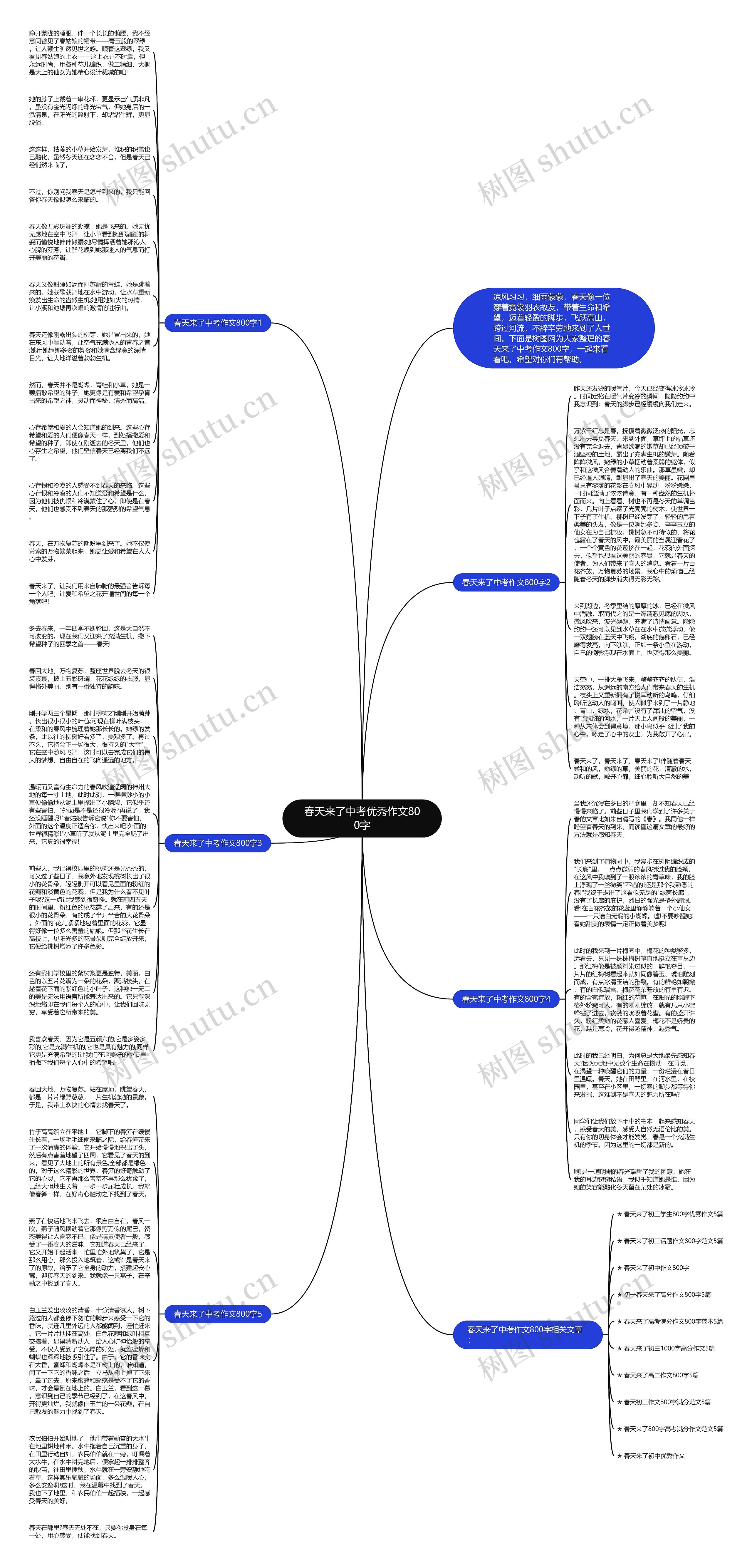 春天来了中考优秀作文800字思维导图