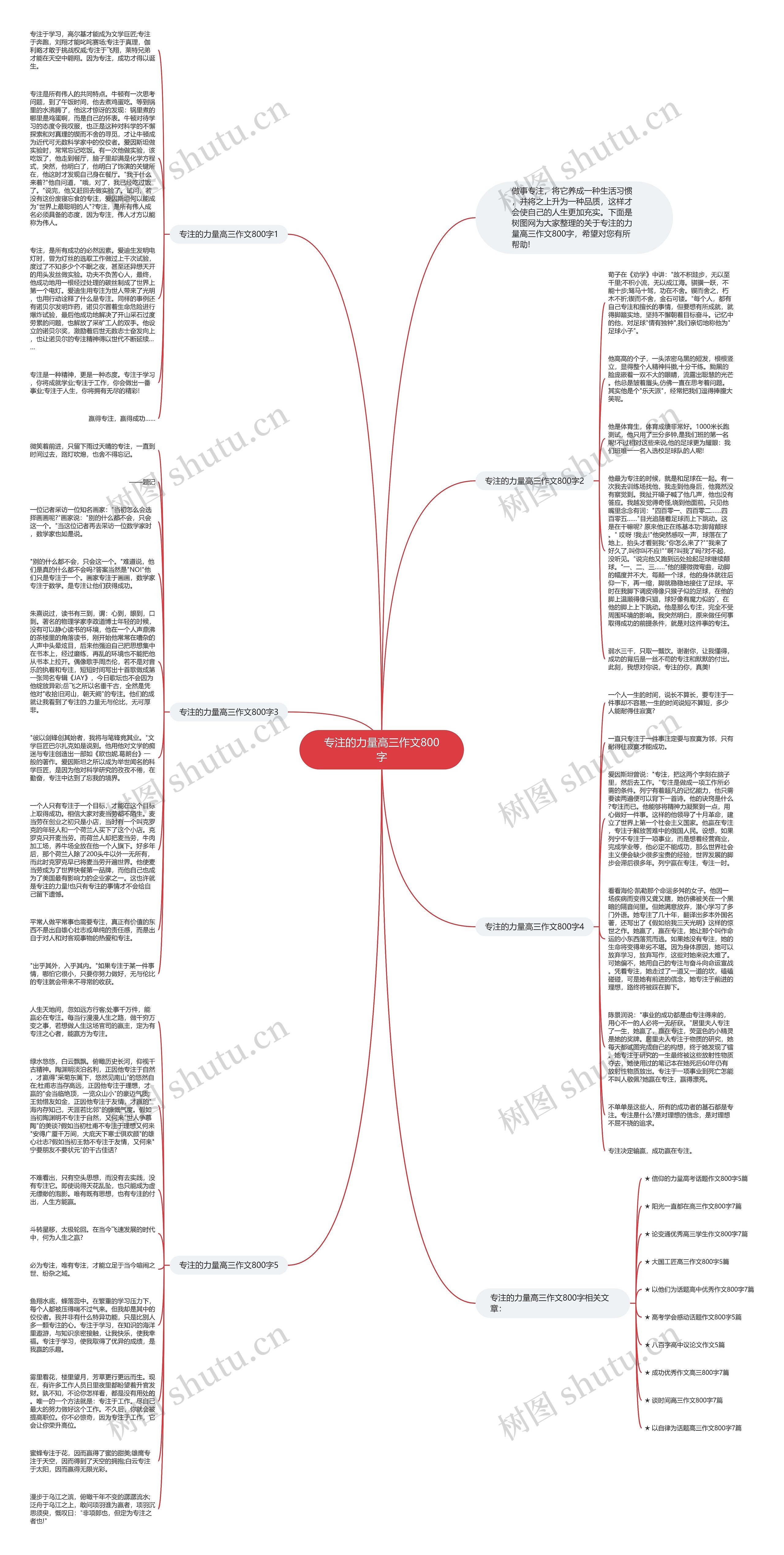 专注的力量高三作文800字思维导图