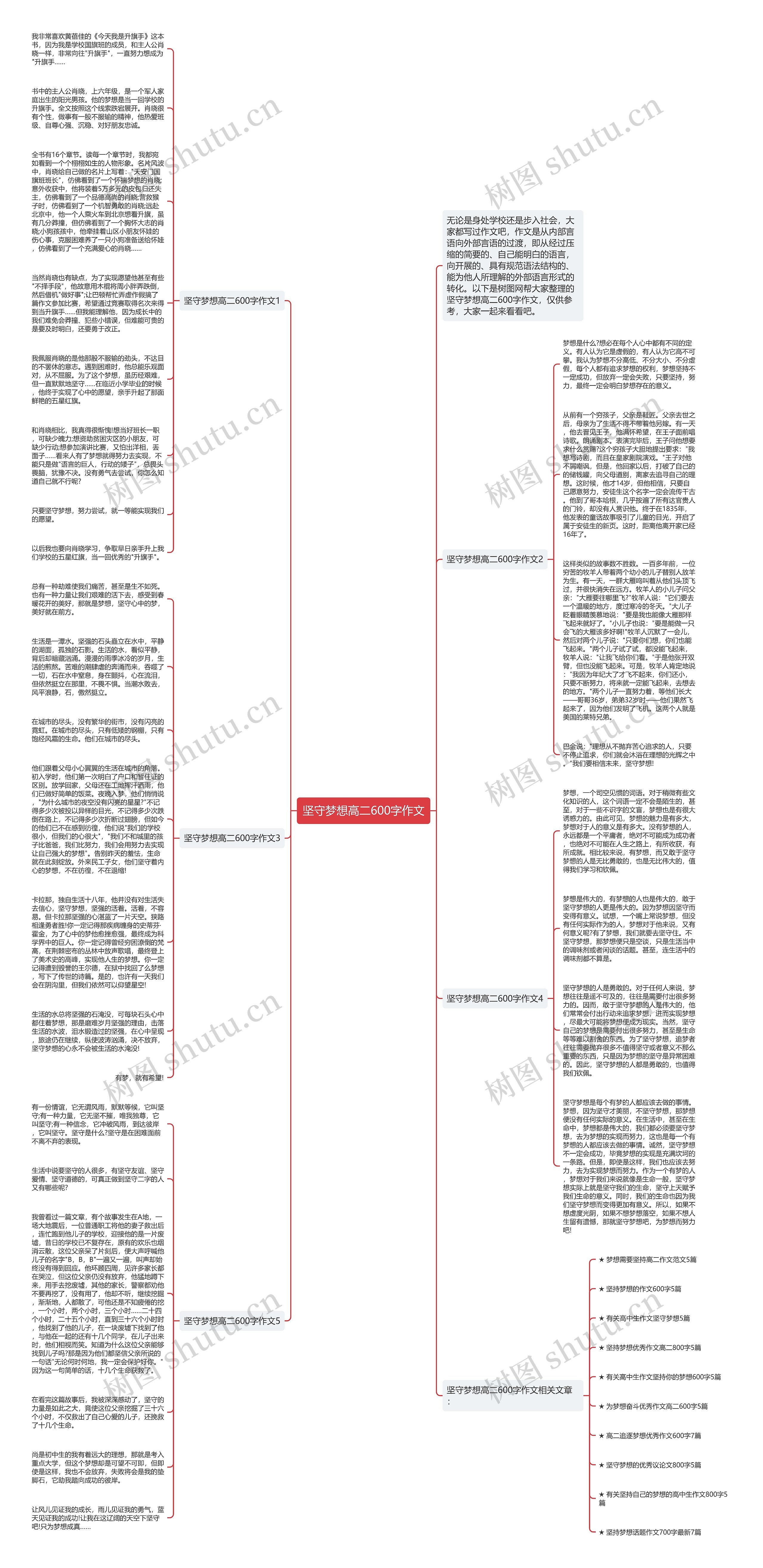 坚守梦想高二600字作文思维导图