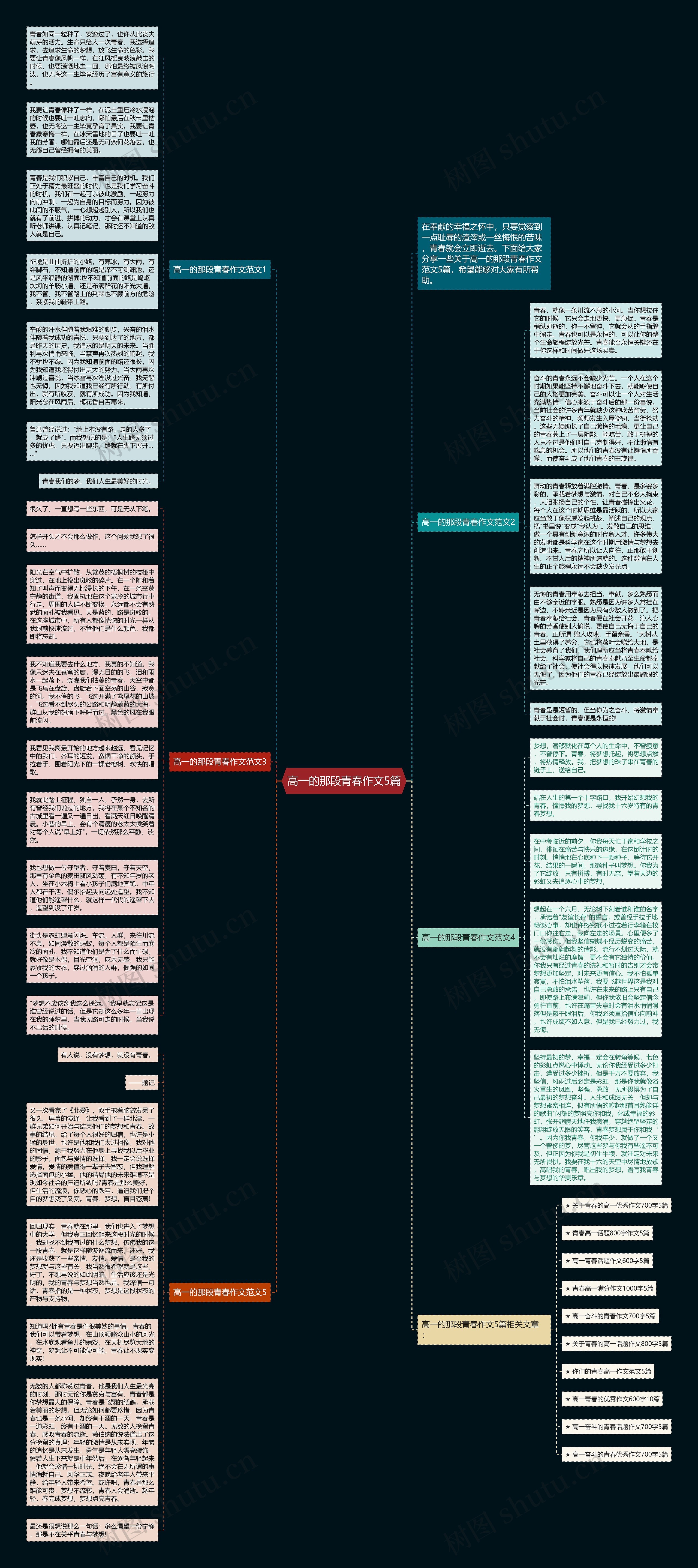 高一的那段青春作文5篇思维导图