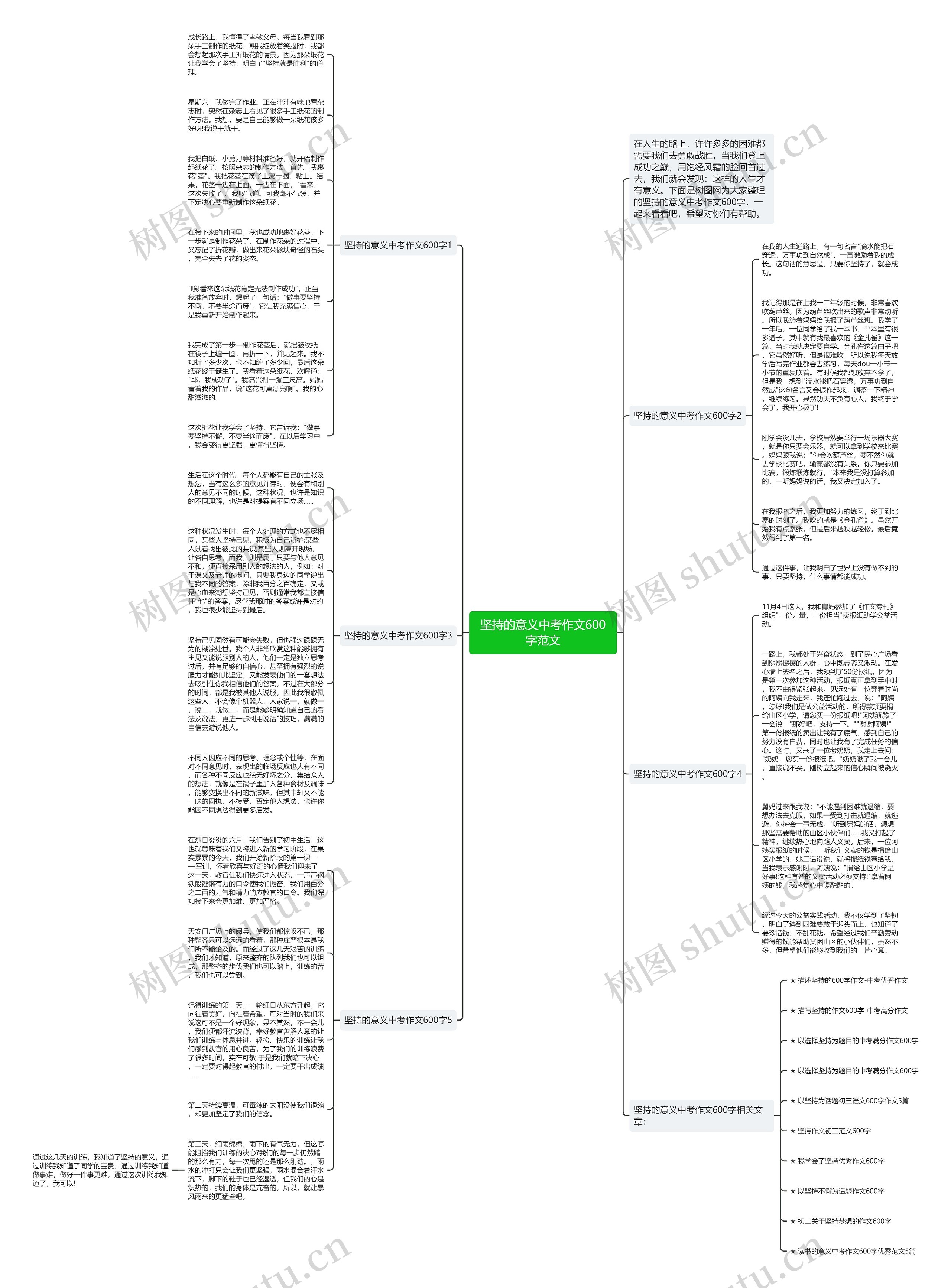 坚持的意义中考作文600字范文思维导图