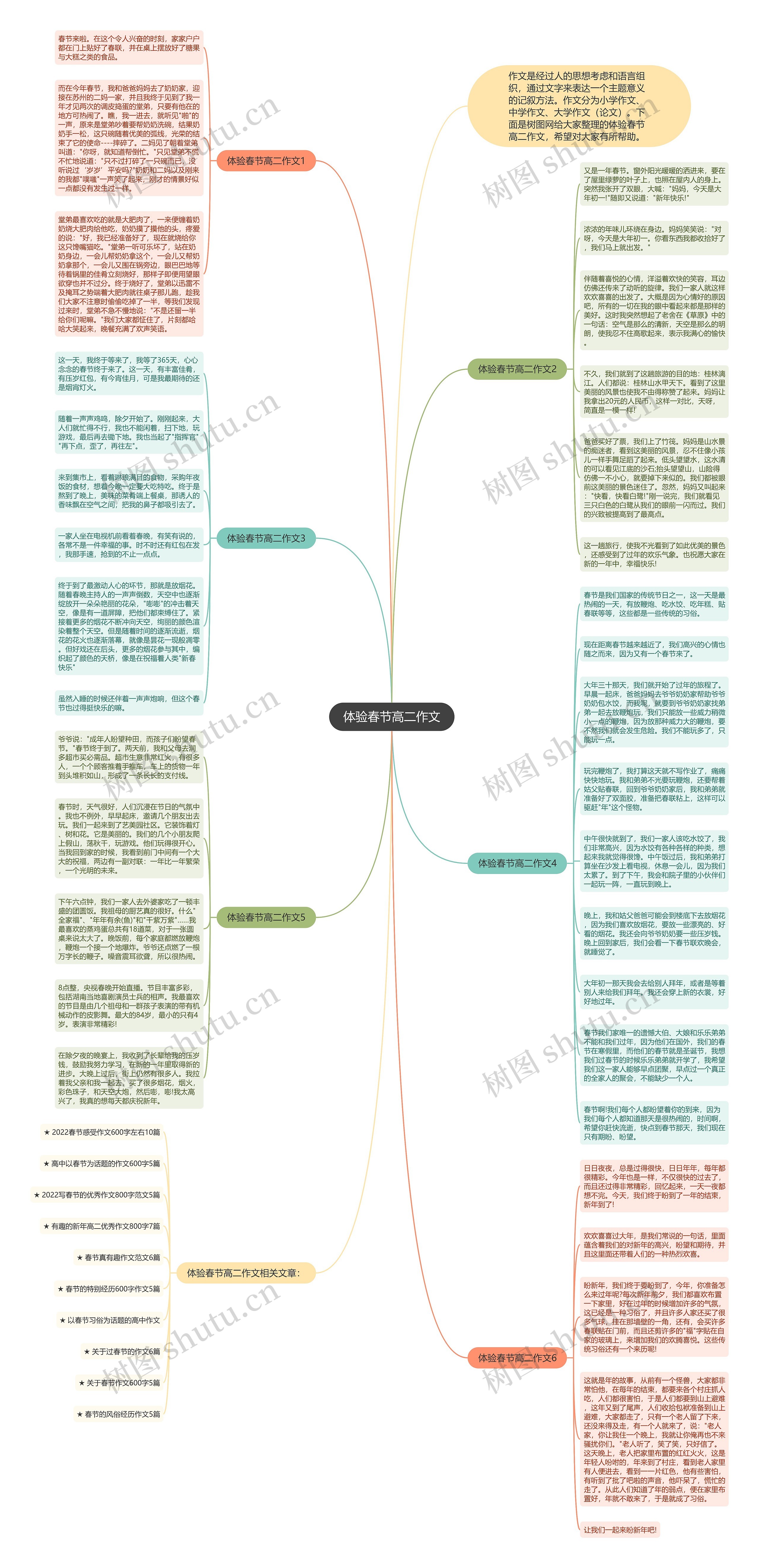 体验春节高二作文思维导图