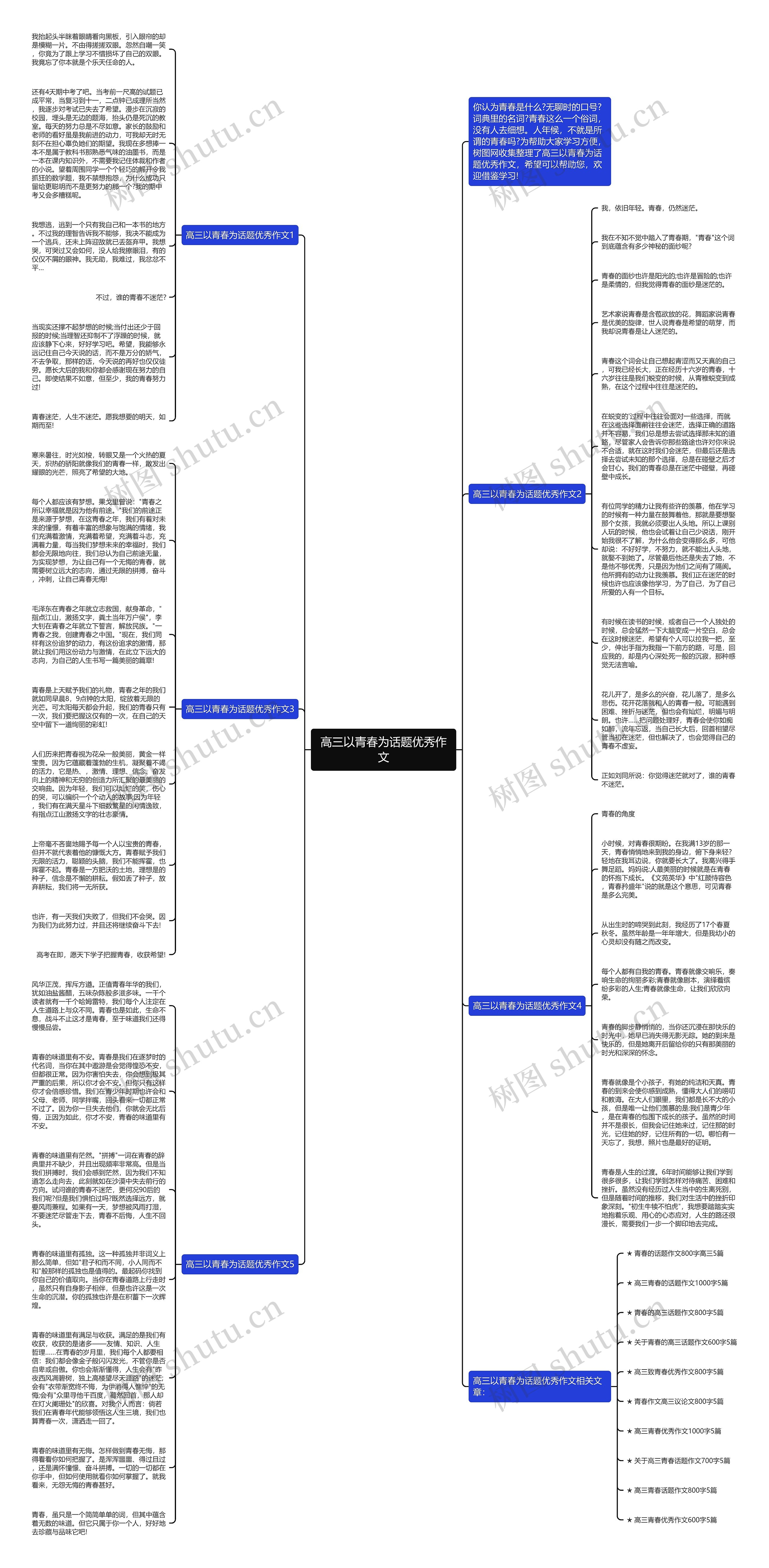 高三以青春为话题优秀作文思维导图