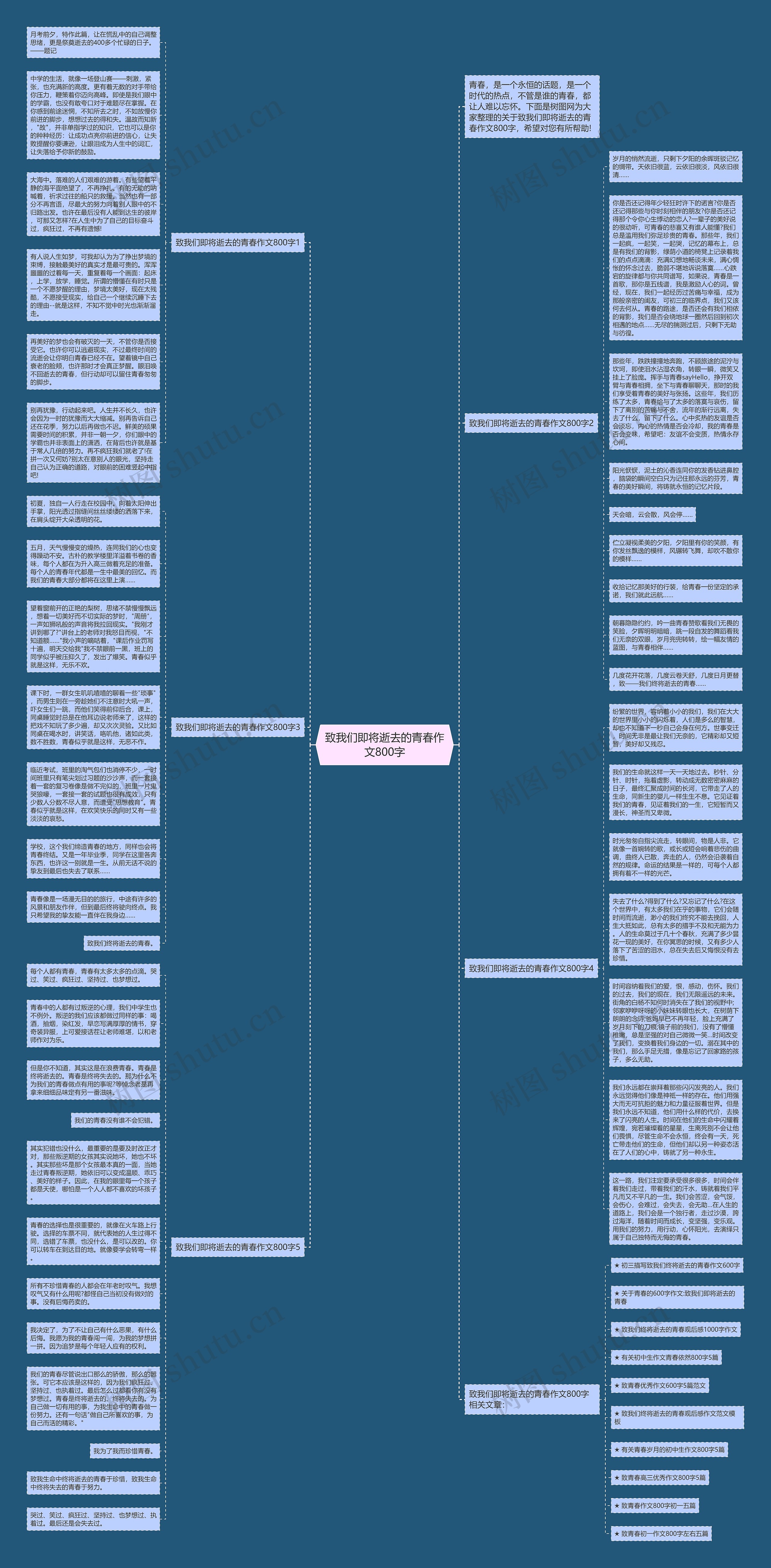 致我们即将逝去的青春作文800字思维导图
