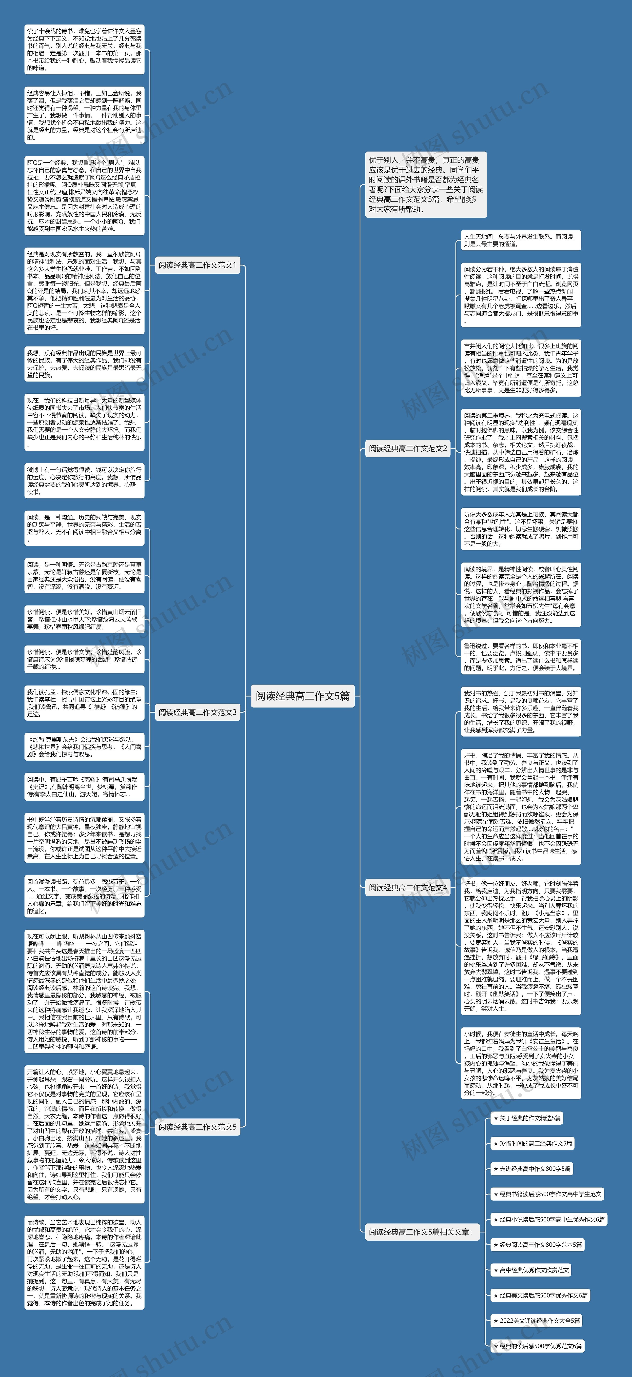阅读经典高二作文5篇思维导图