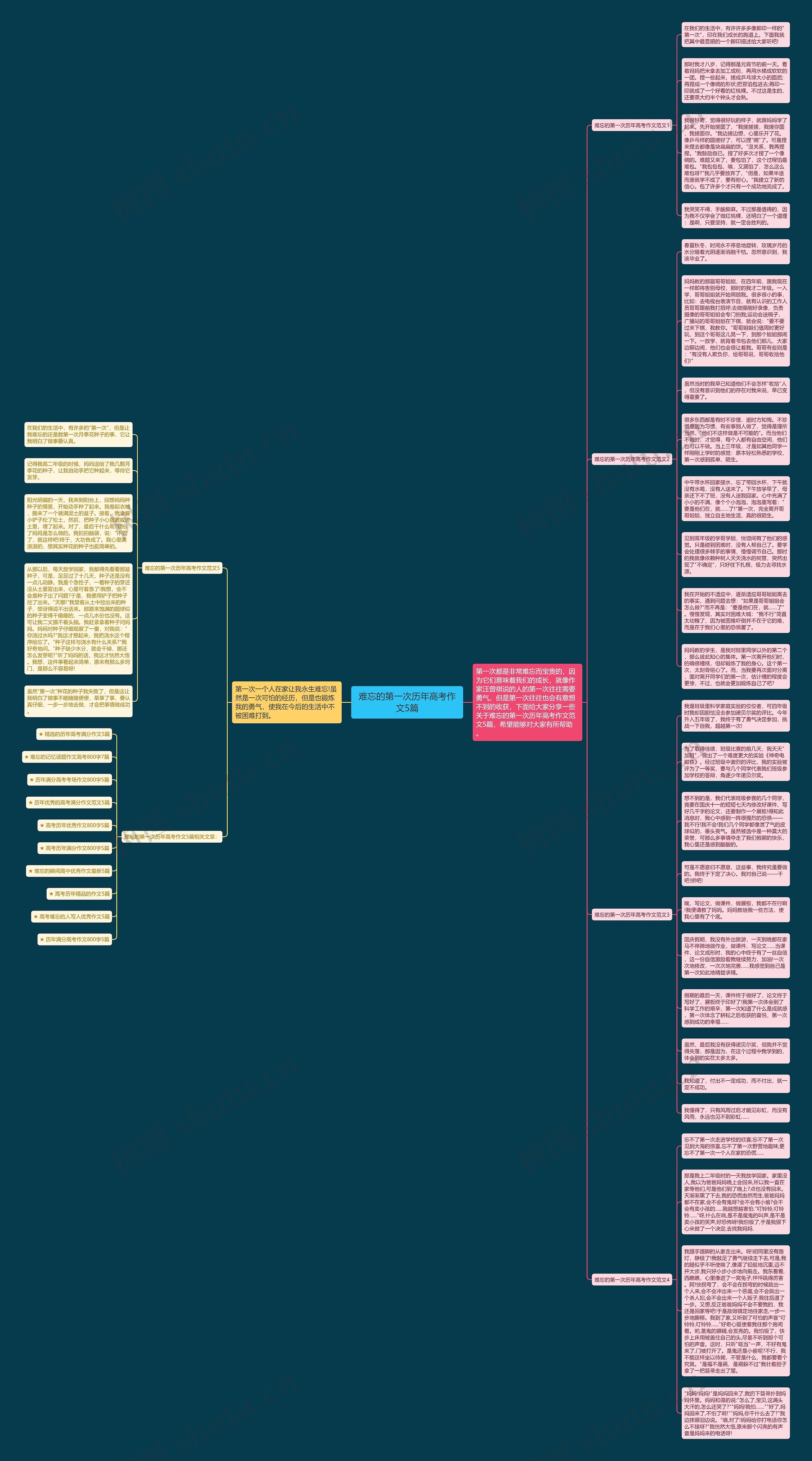 难忘的第一次历年高考作文5篇思维导图