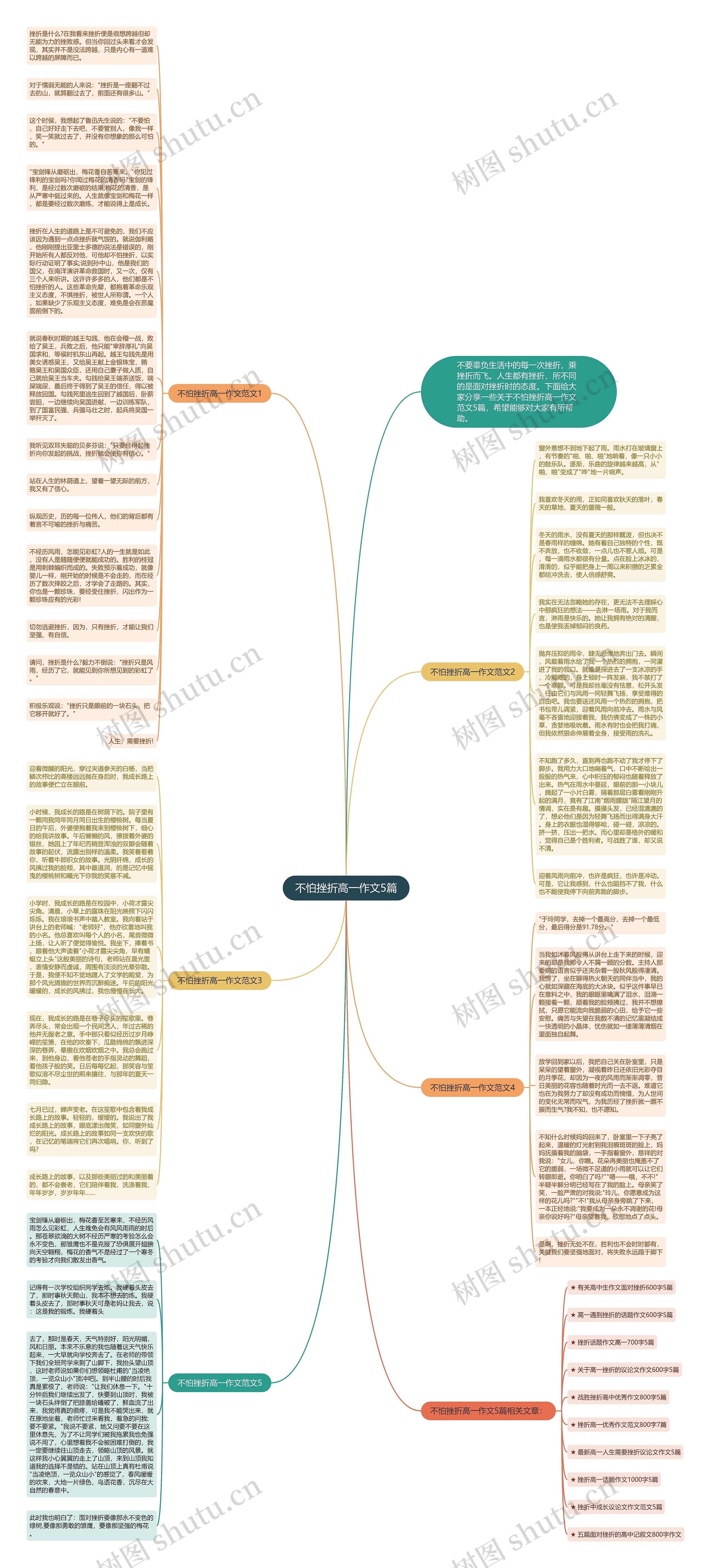 不怕挫折高一作文5篇思维导图
