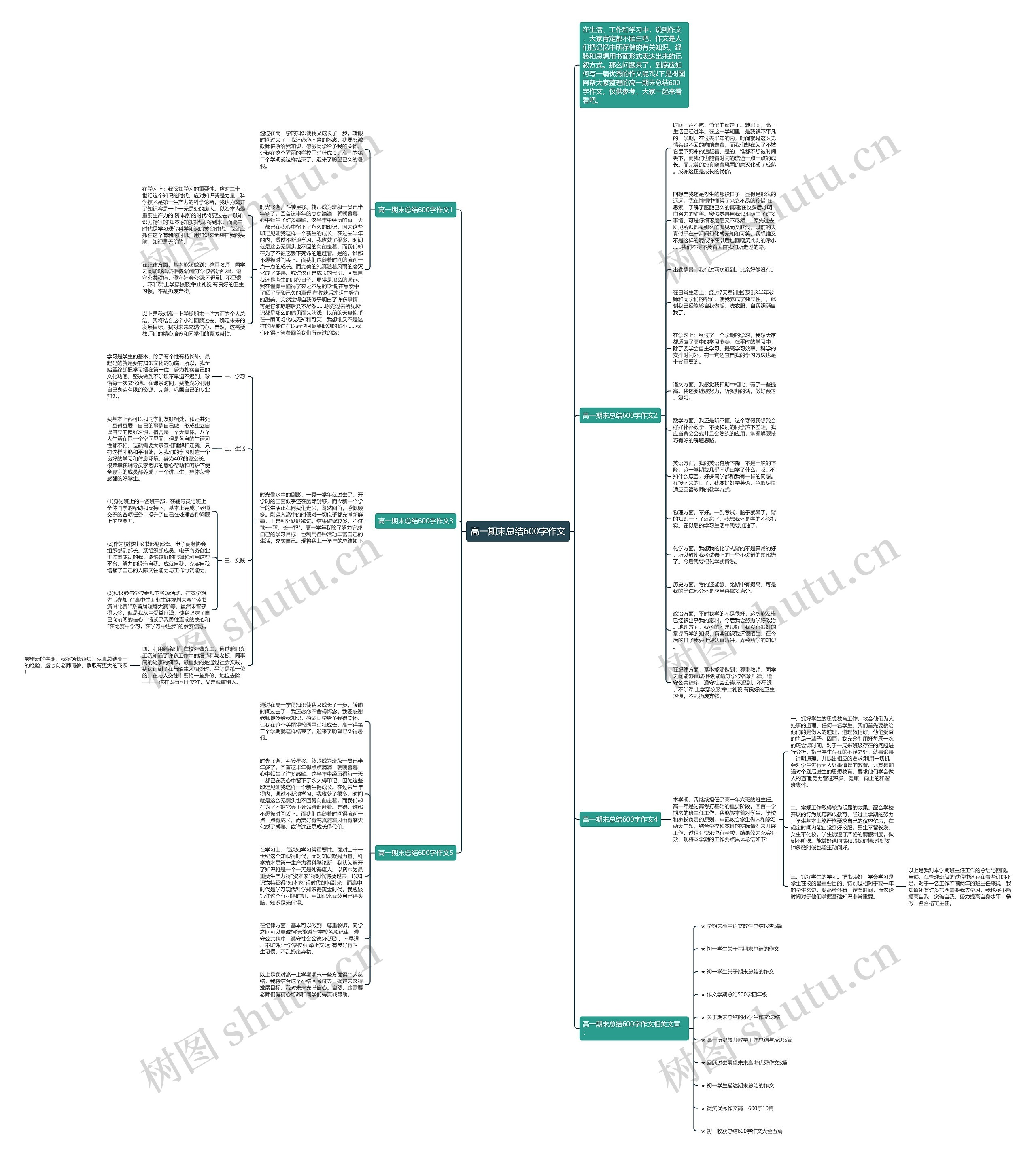 高一期末总结600字作文思维导图