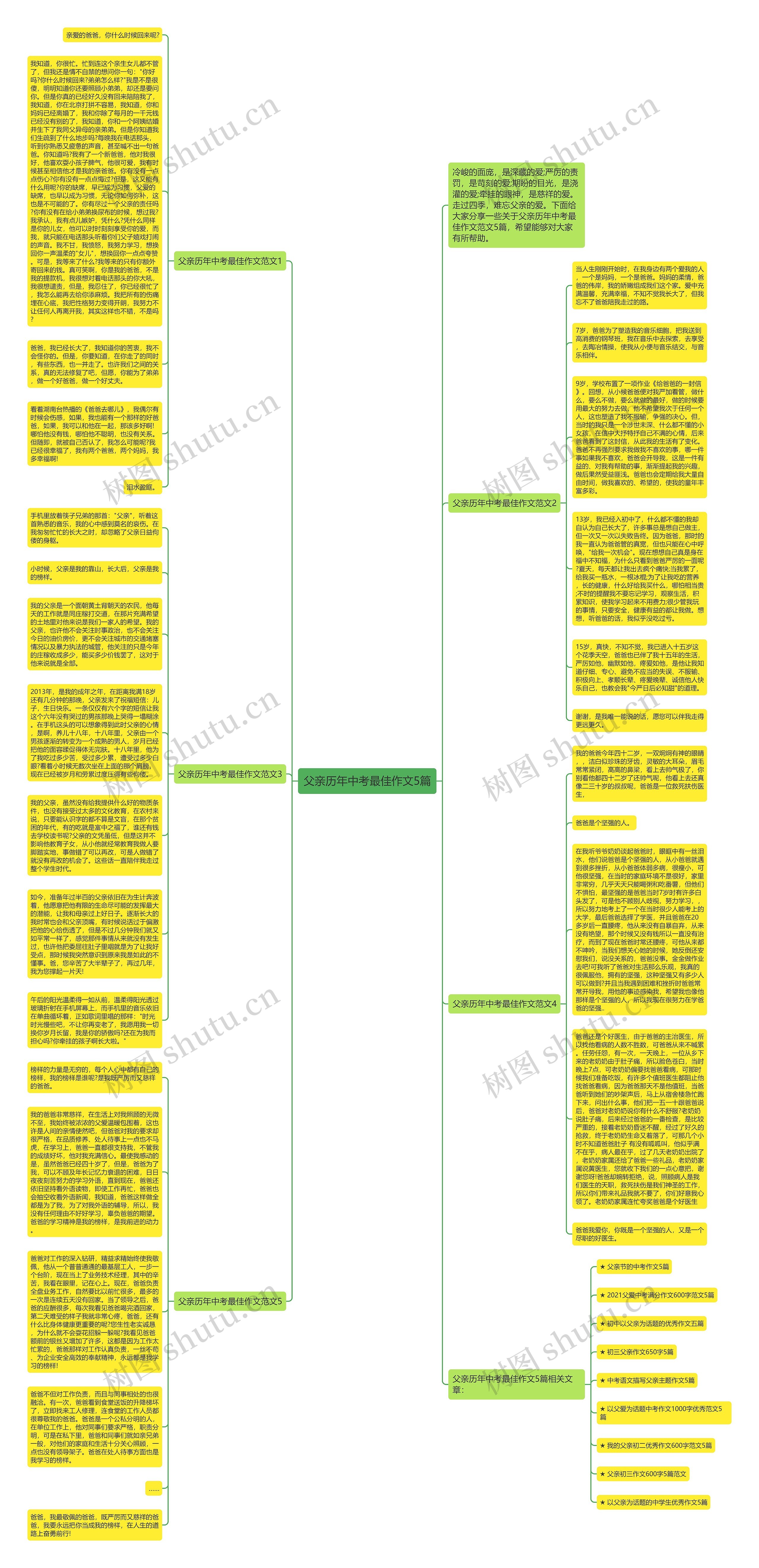父亲历年中考最佳作文5篇思维导图