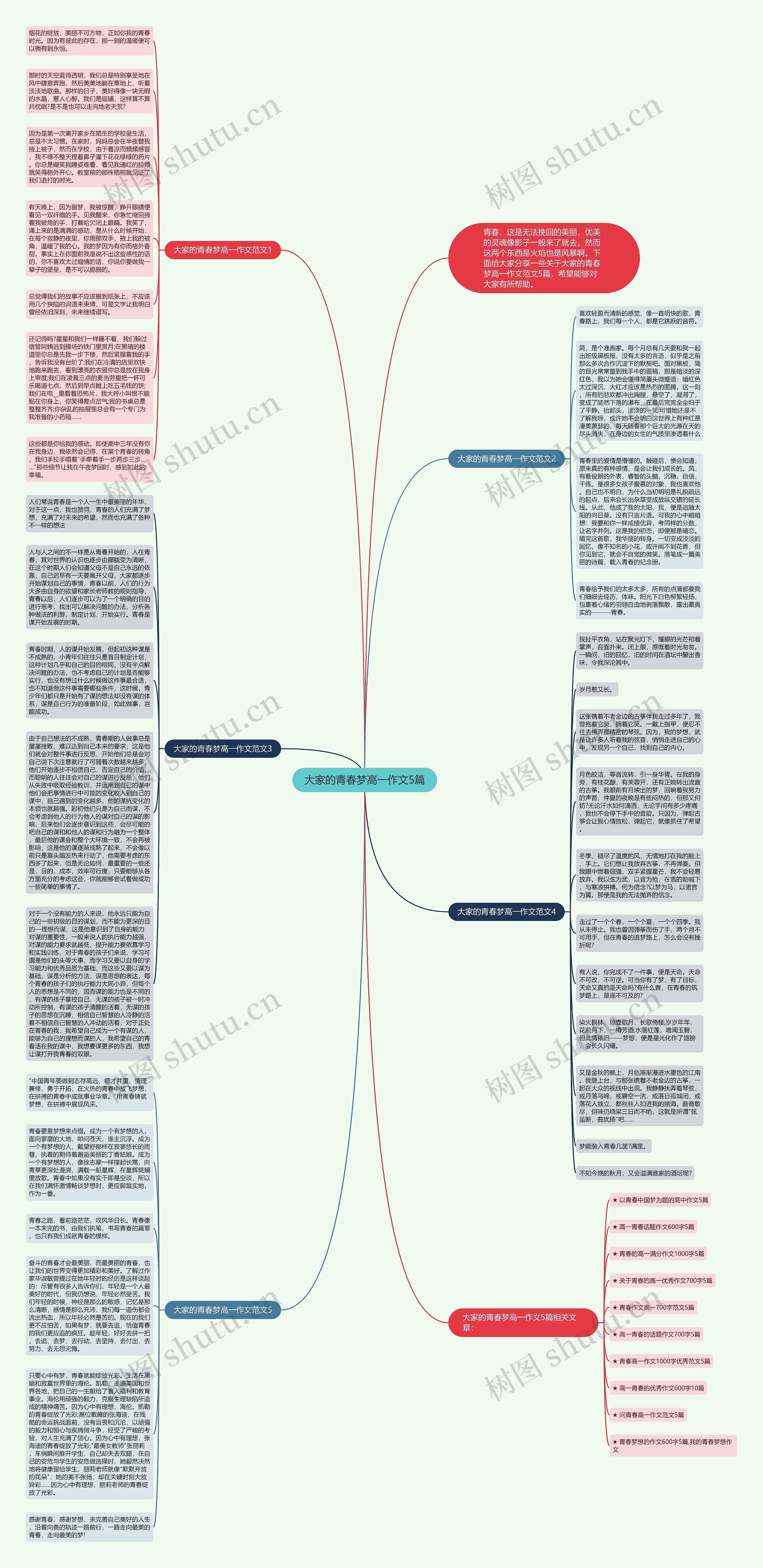 大家的青春梦高一作文5篇思维导图