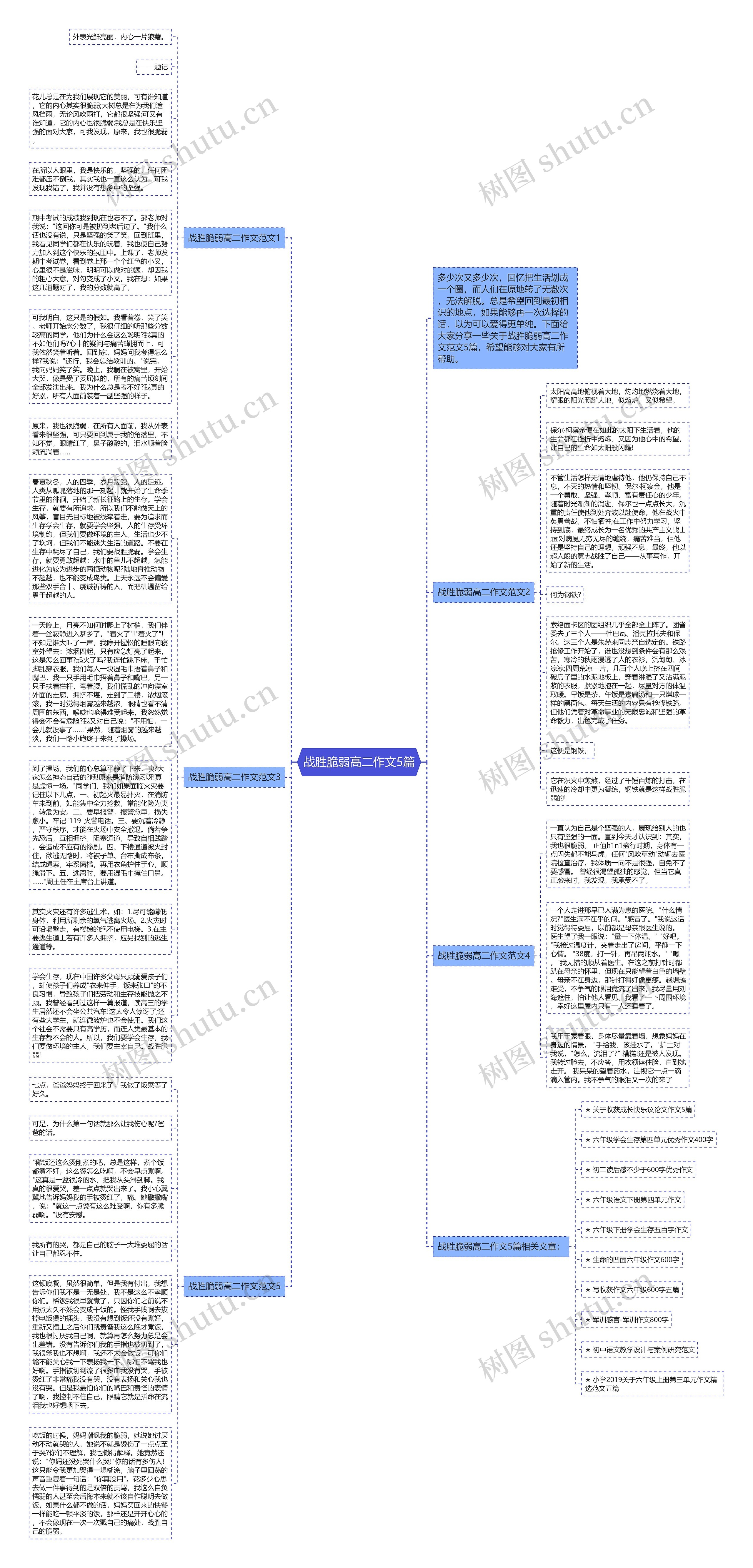 战胜脆弱高二作文5篇思维导图