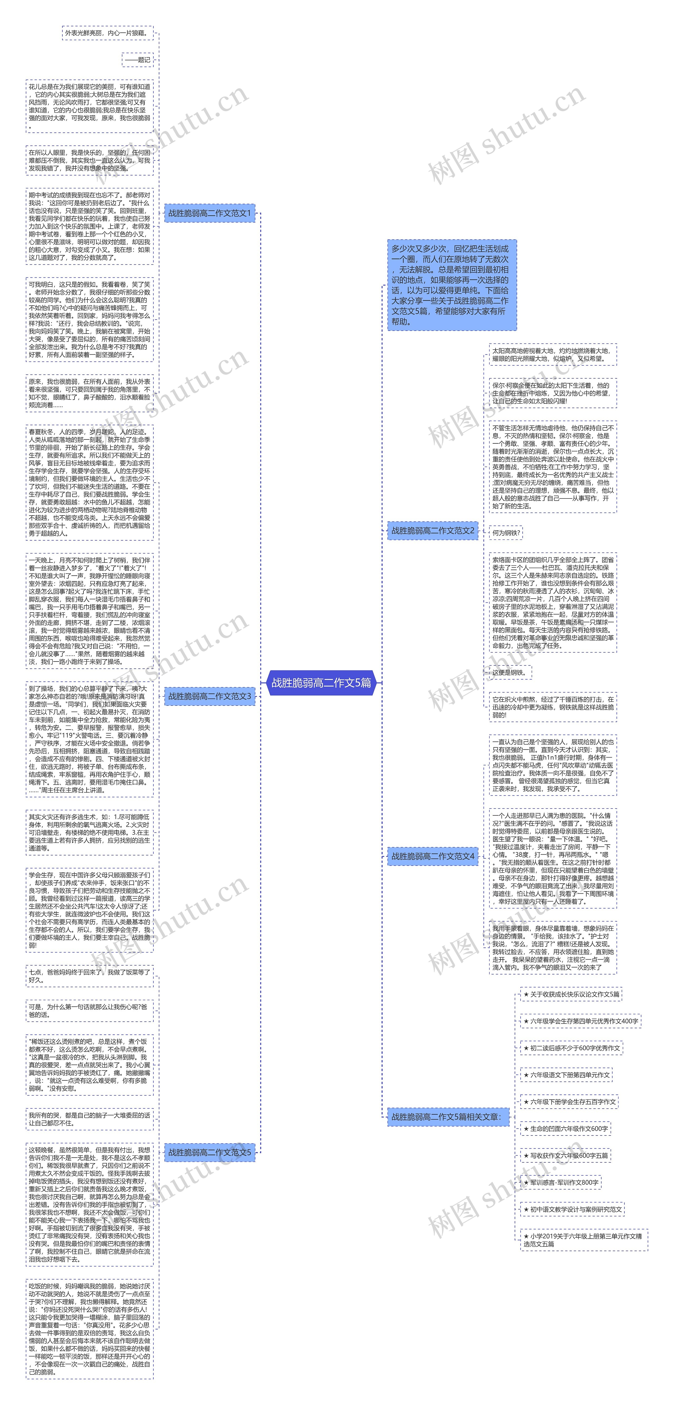 战胜脆弱高二作文5篇思维导图高清图 战胜脆弱高二作文5篇思维导图