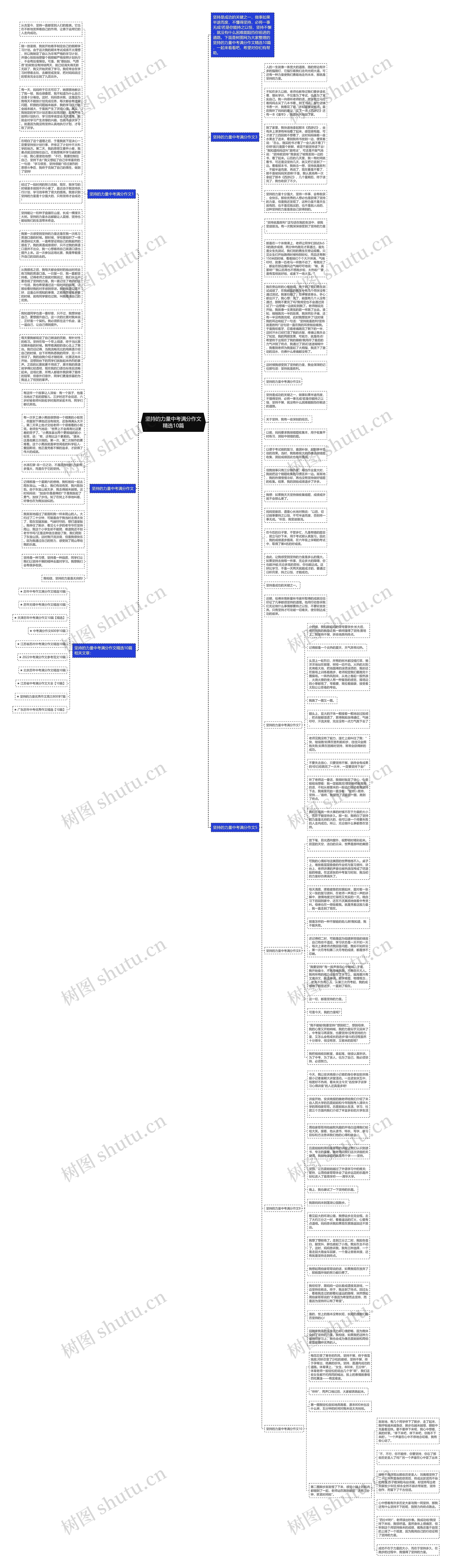 坚持的力量中考满分作文精选10篇思维导图