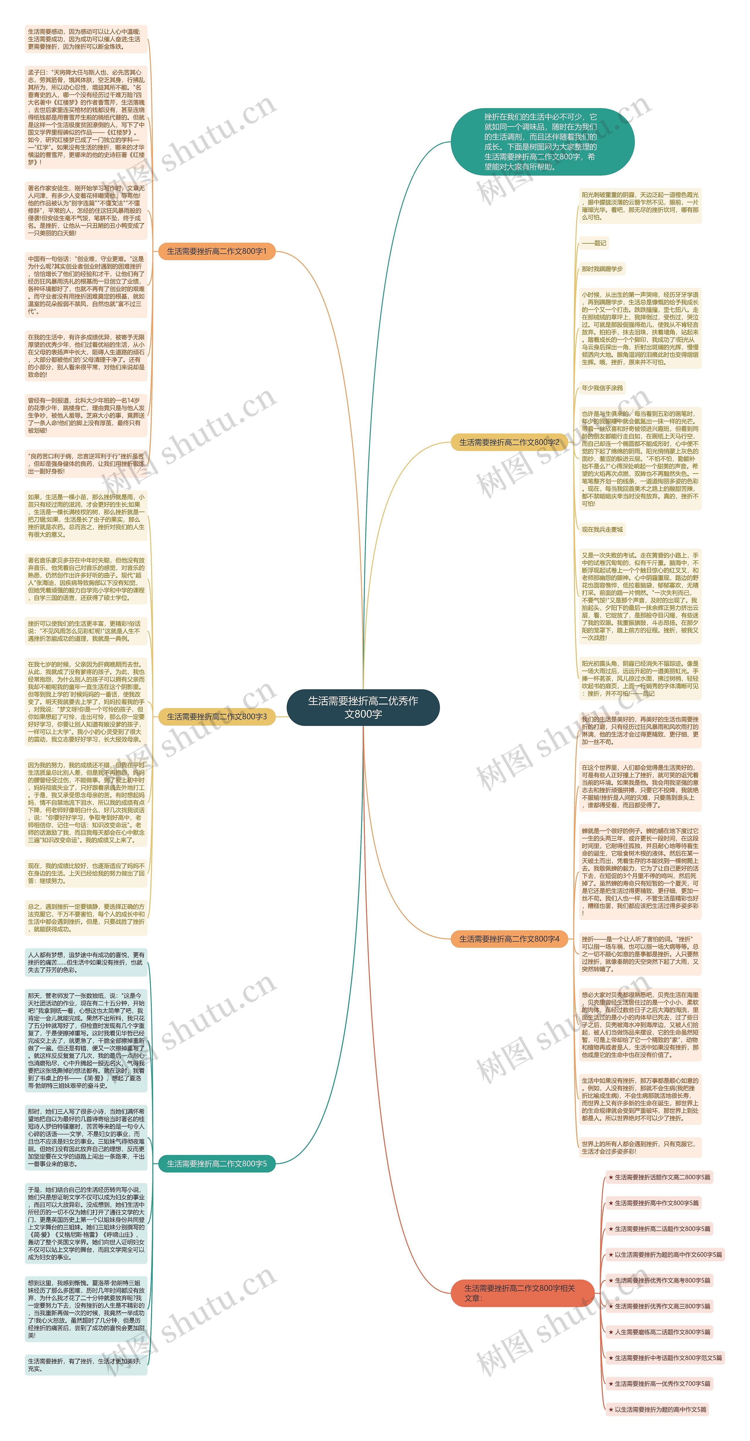 生活需要挫折高二优秀作文800字思维导图