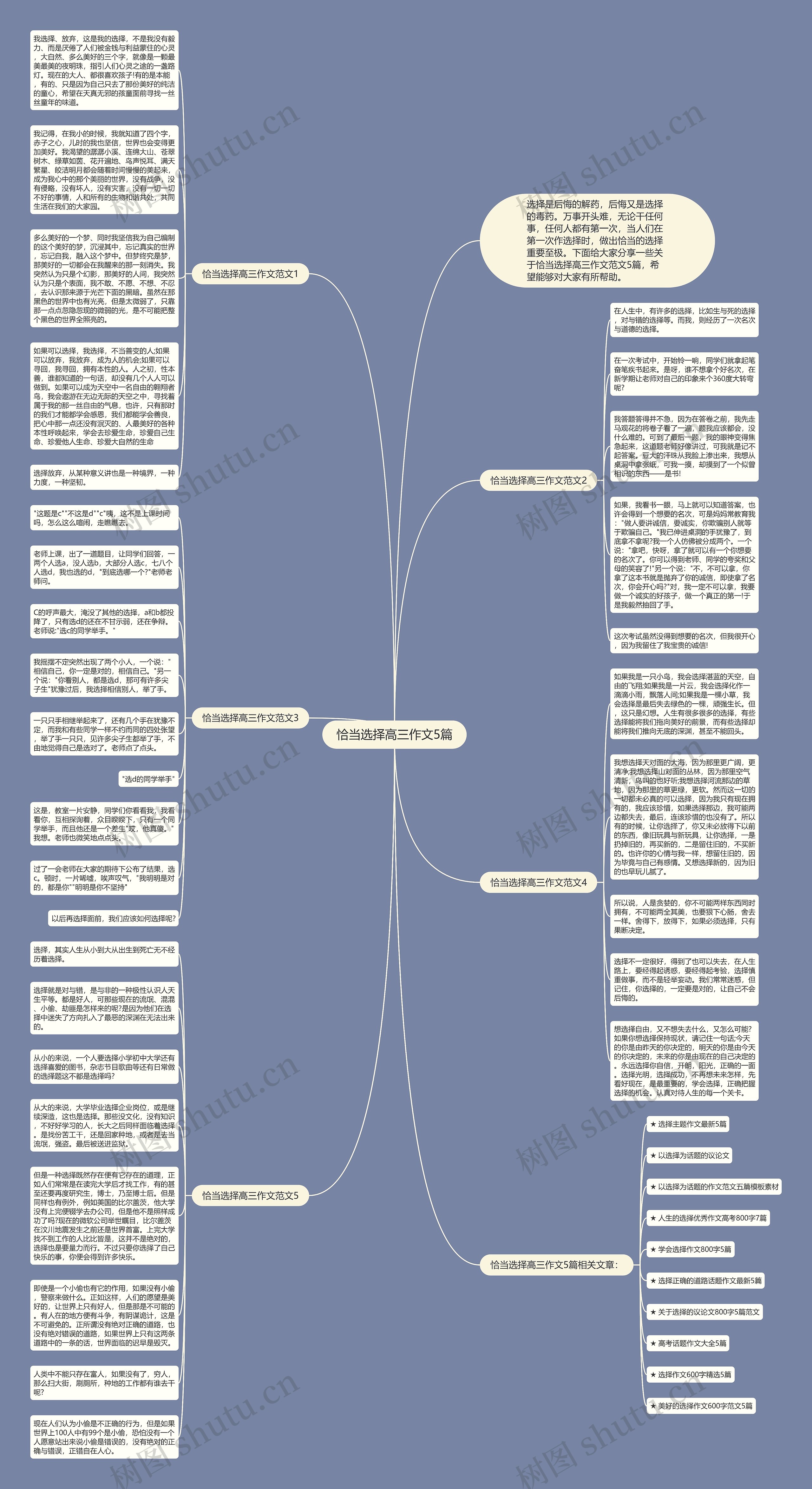 恰当选择高三作文5篇思维导图