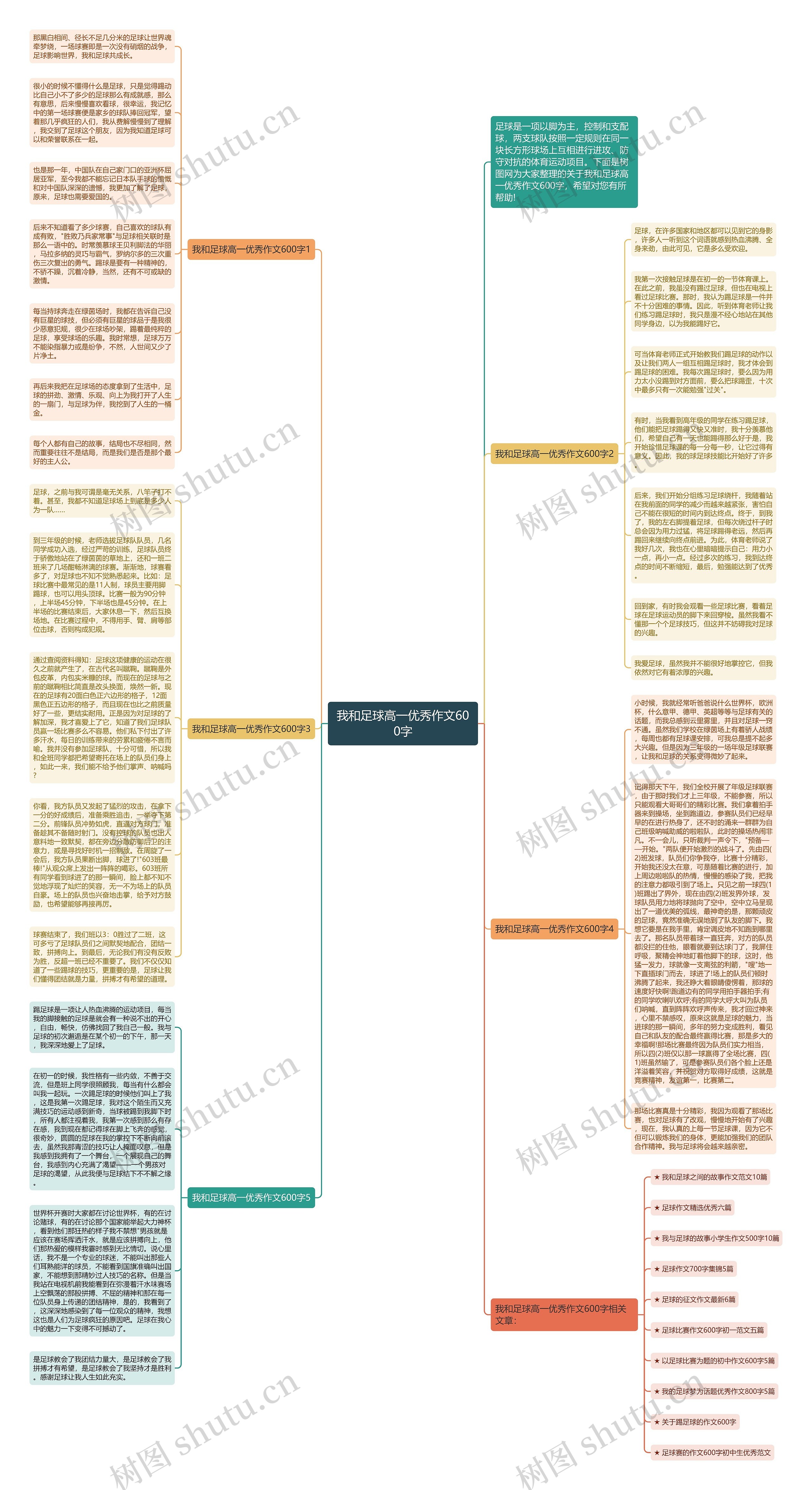 我和足球高一优秀作文600字思维导图