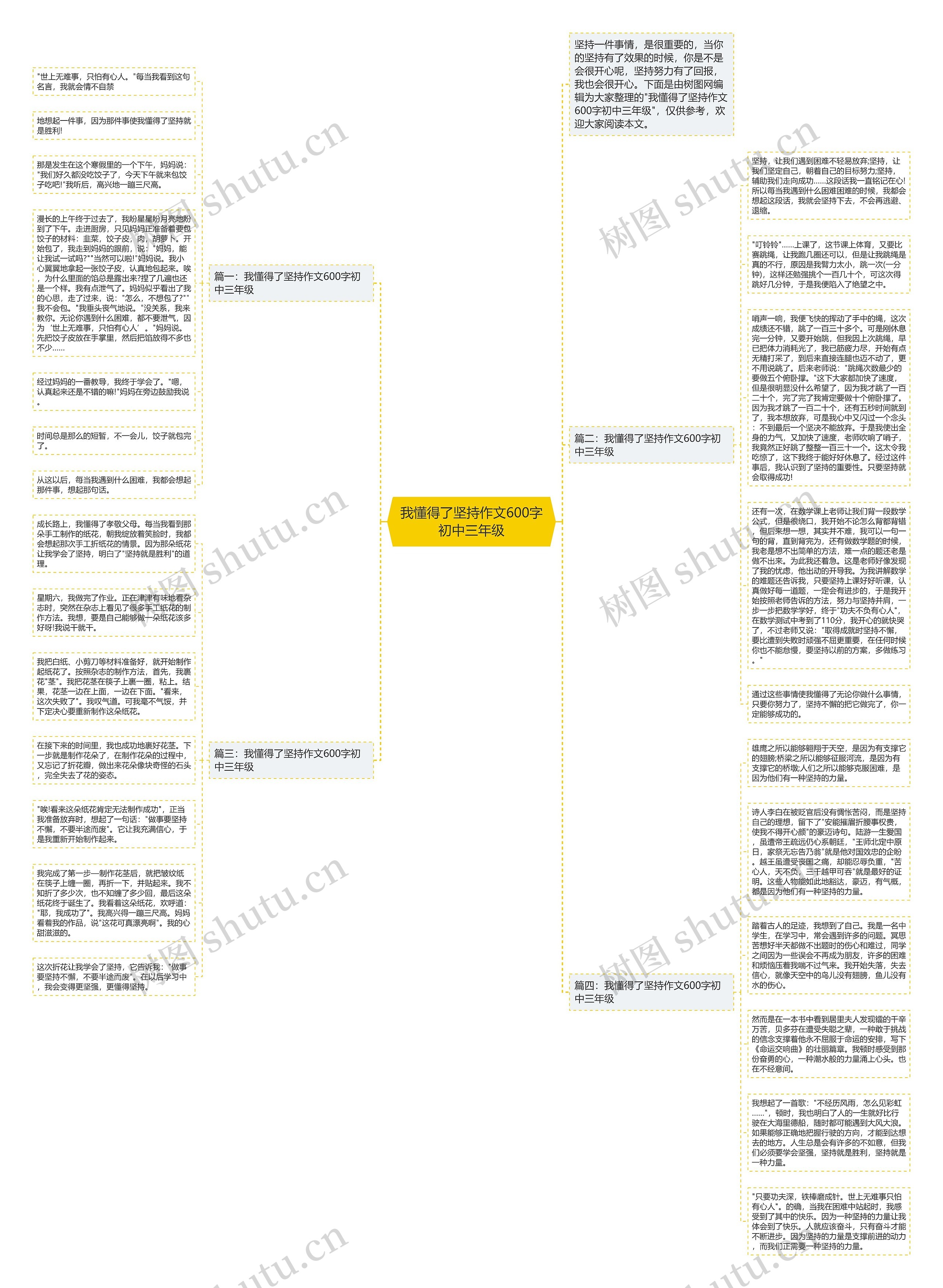 我懂得了坚持作文600字初中三年级思维导图