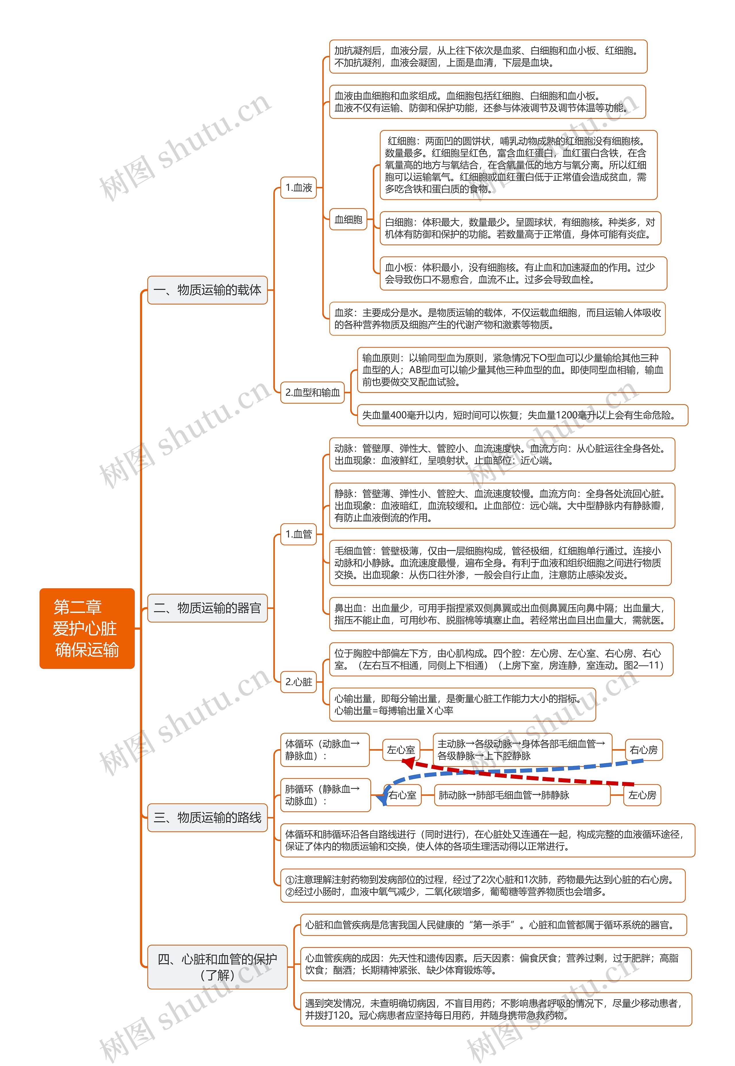 第二章 爱护心脏确保运输思维导图