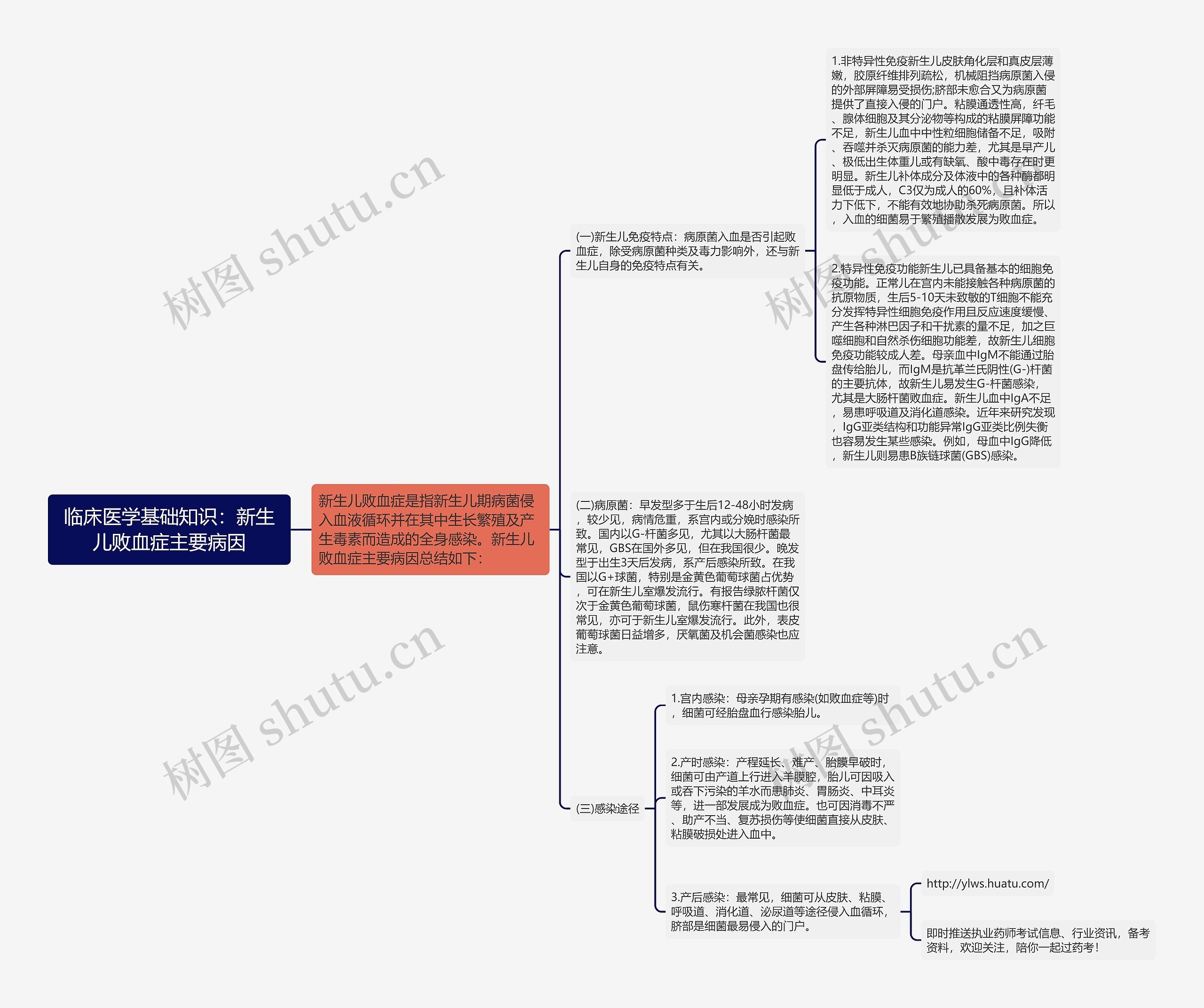 临床医学基础知识：新生儿败血症主要病因思维导图