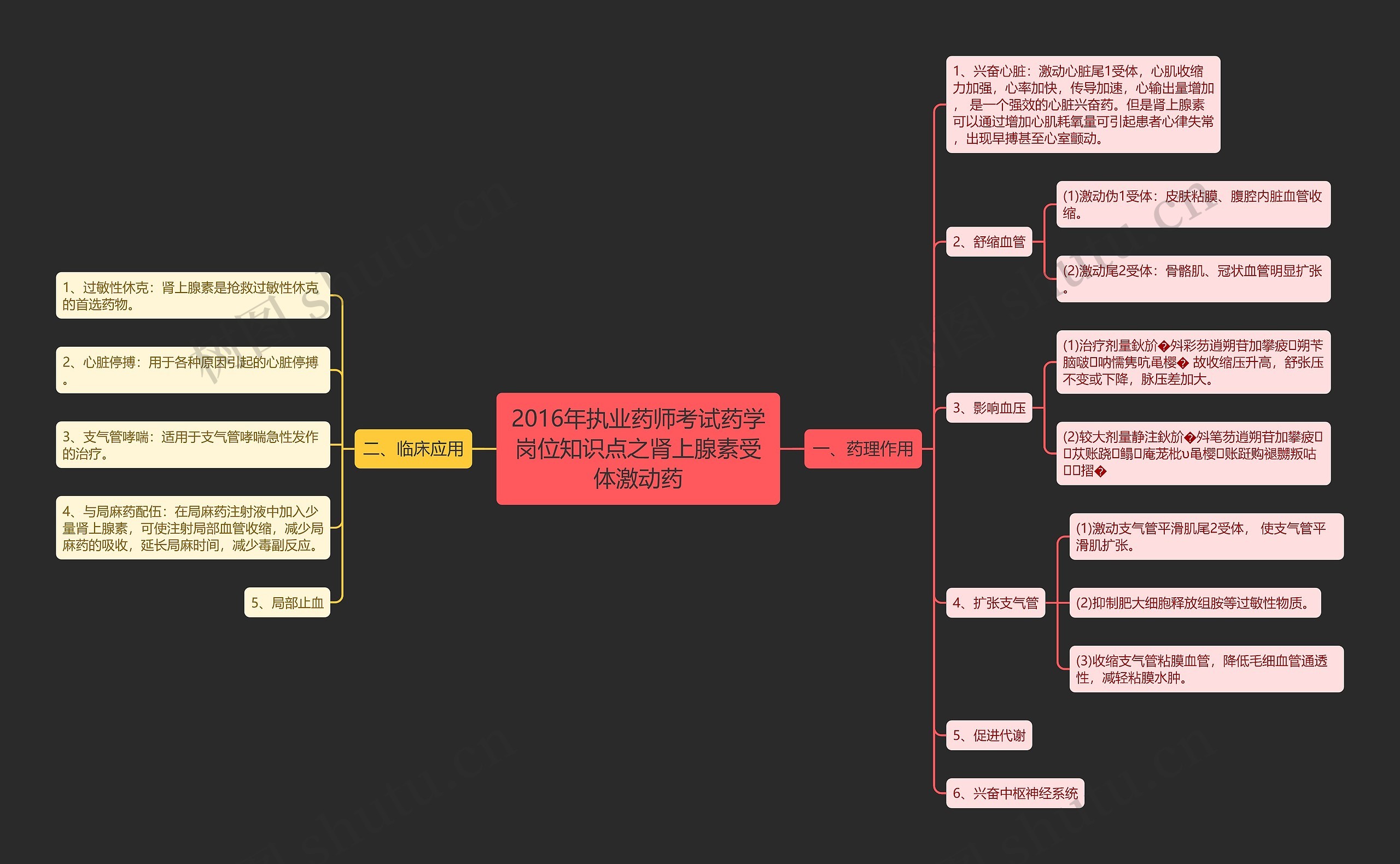 2016年执业药师考试药学岗位知识点之肾上腺素受体激动药