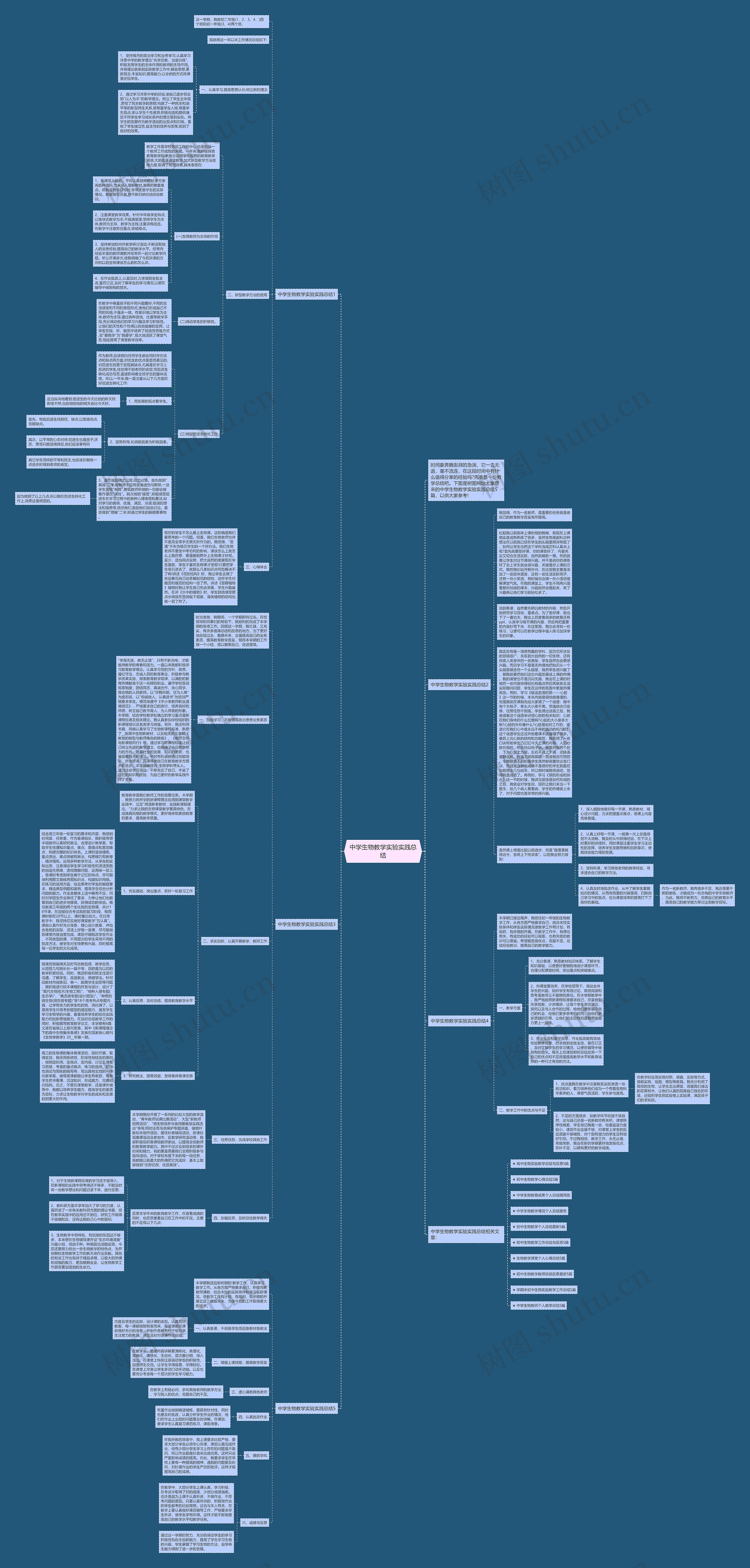 中学生物教学实验实践总结思维导图