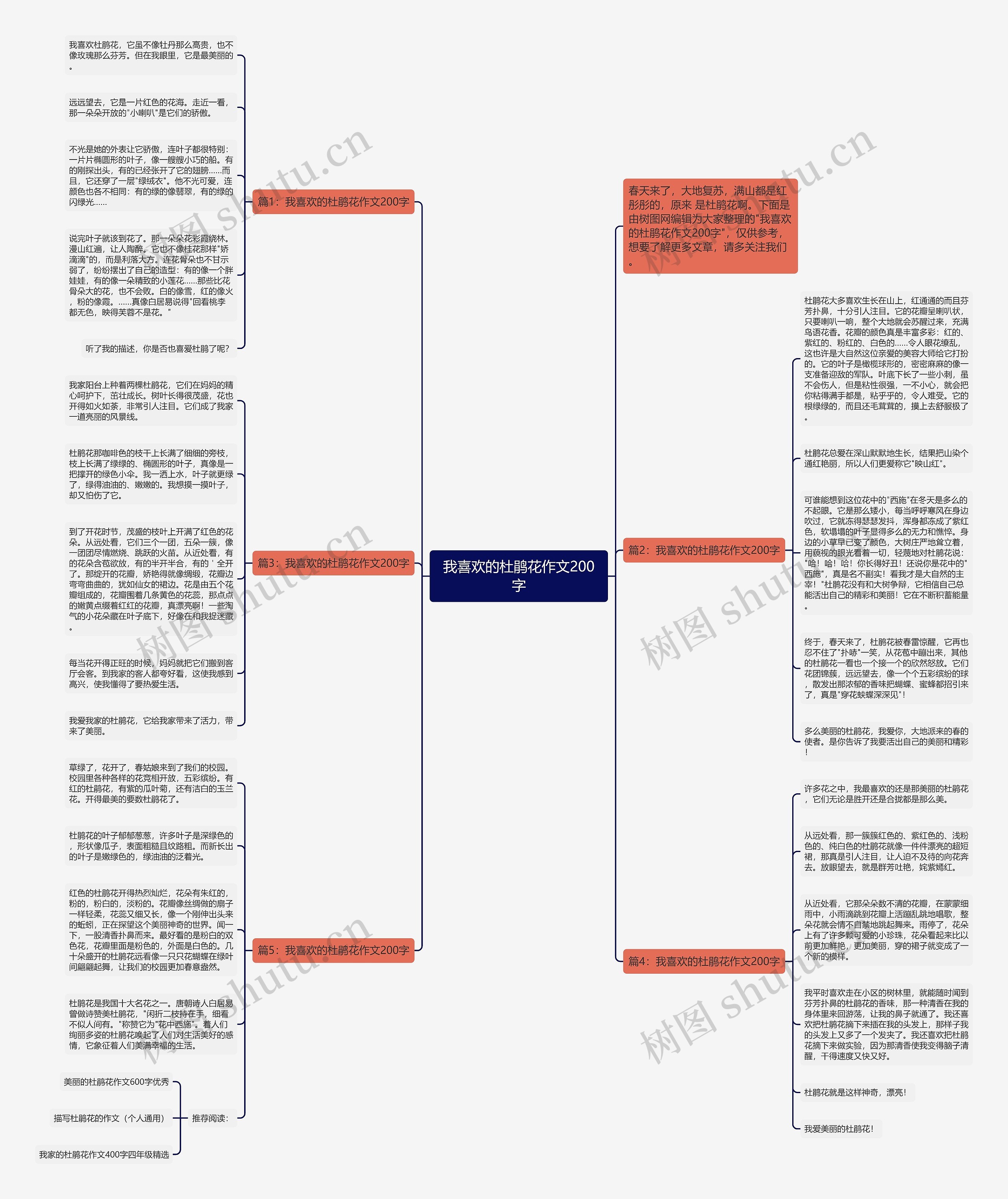 我喜欢的杜鹃花作文200字思维导图