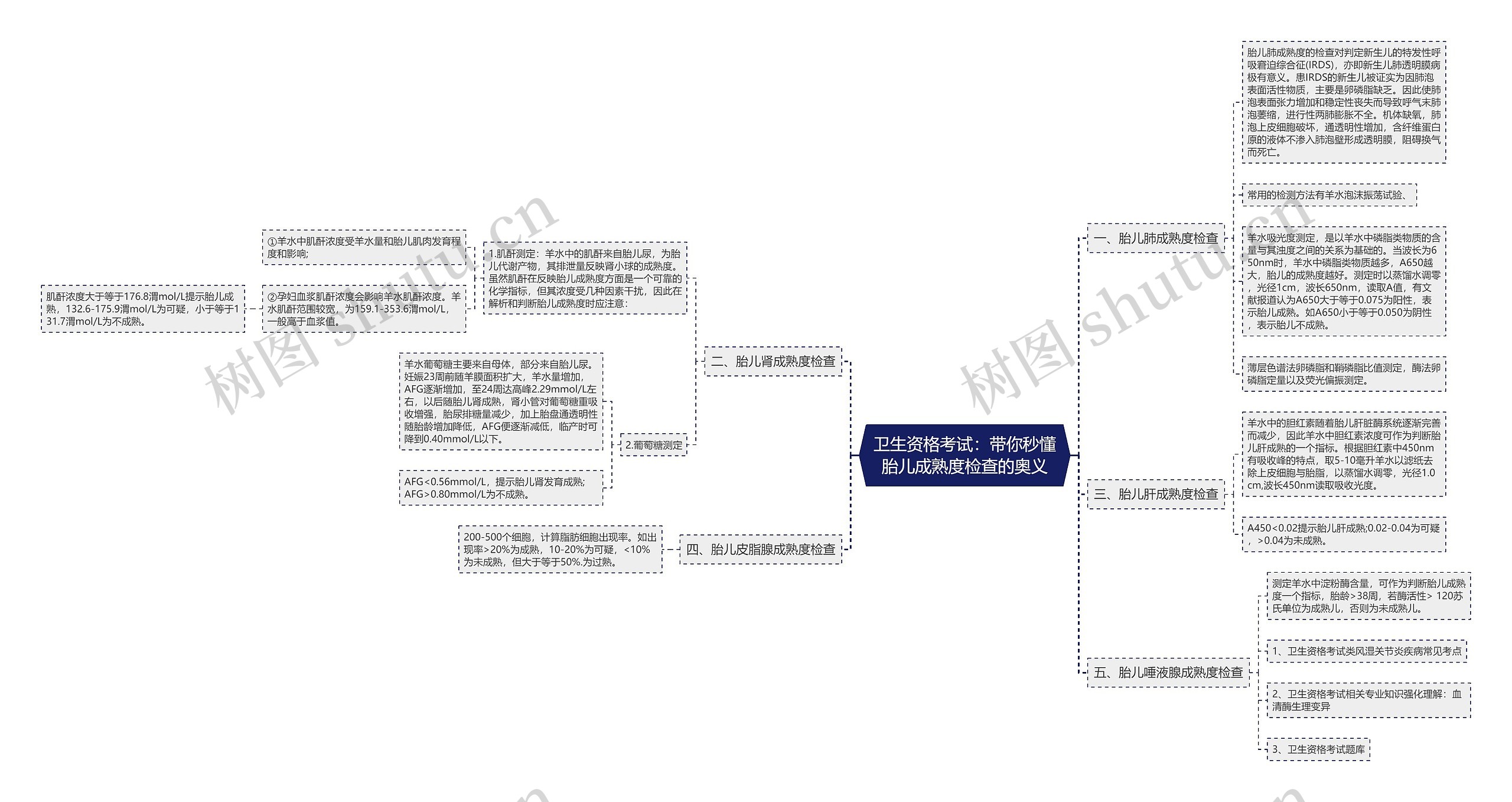 卫生资格考试：带你秒懂胎儿成熟度检查的奥义思维导图