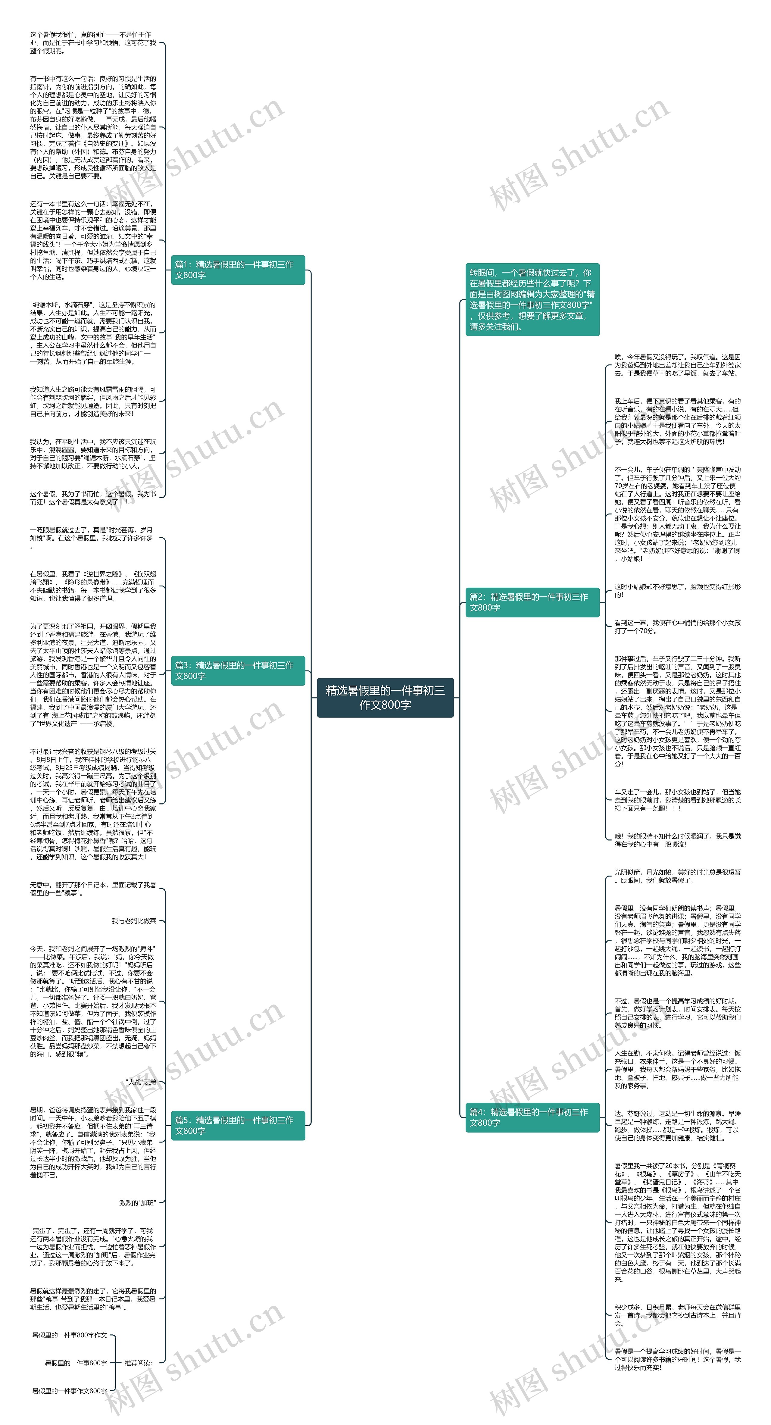 精选暑假里的一件事初三作文800字思维导图